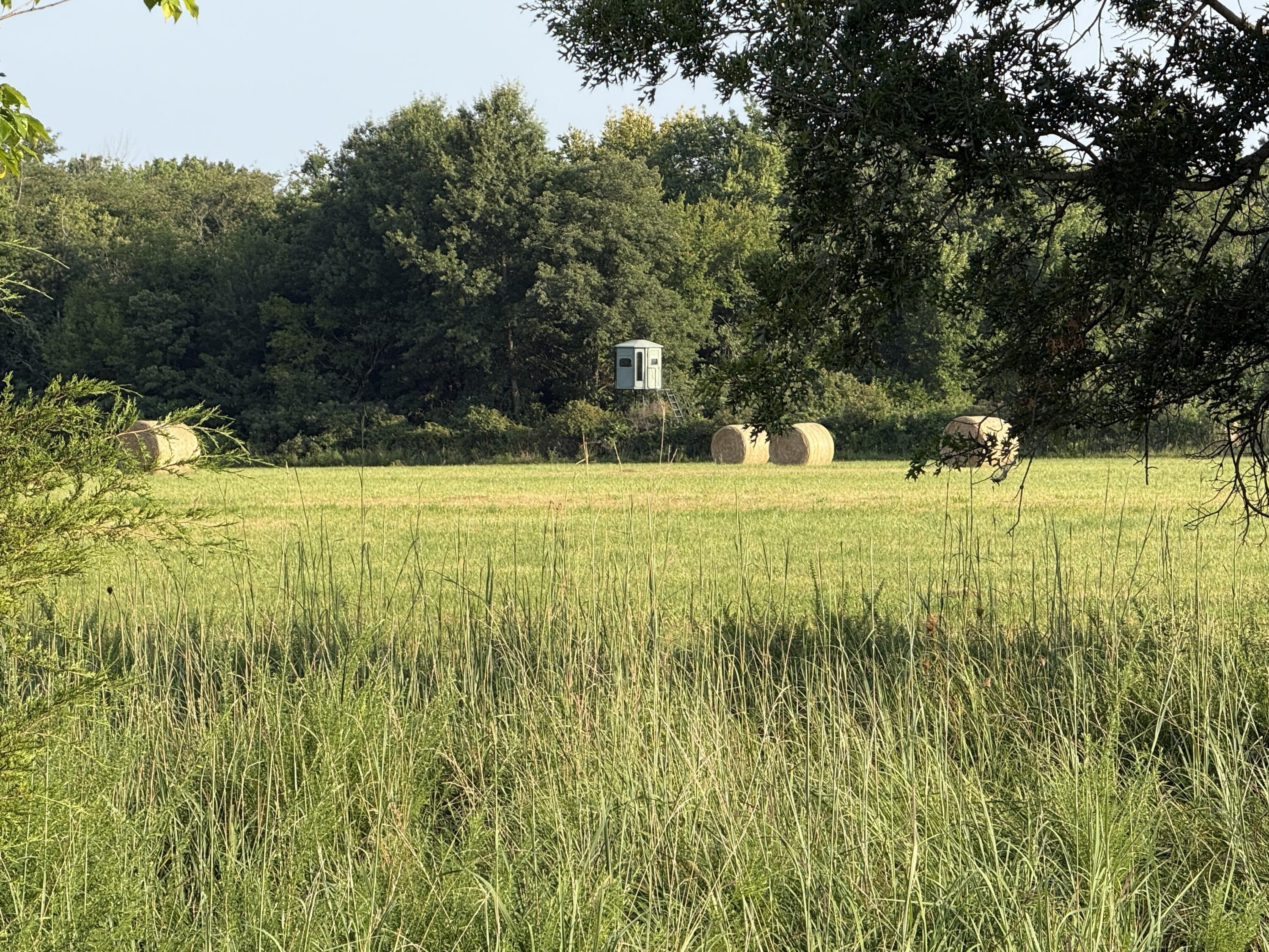 Photo 70 - Land for sale – 220 NW 40th Road  Lamar, MO