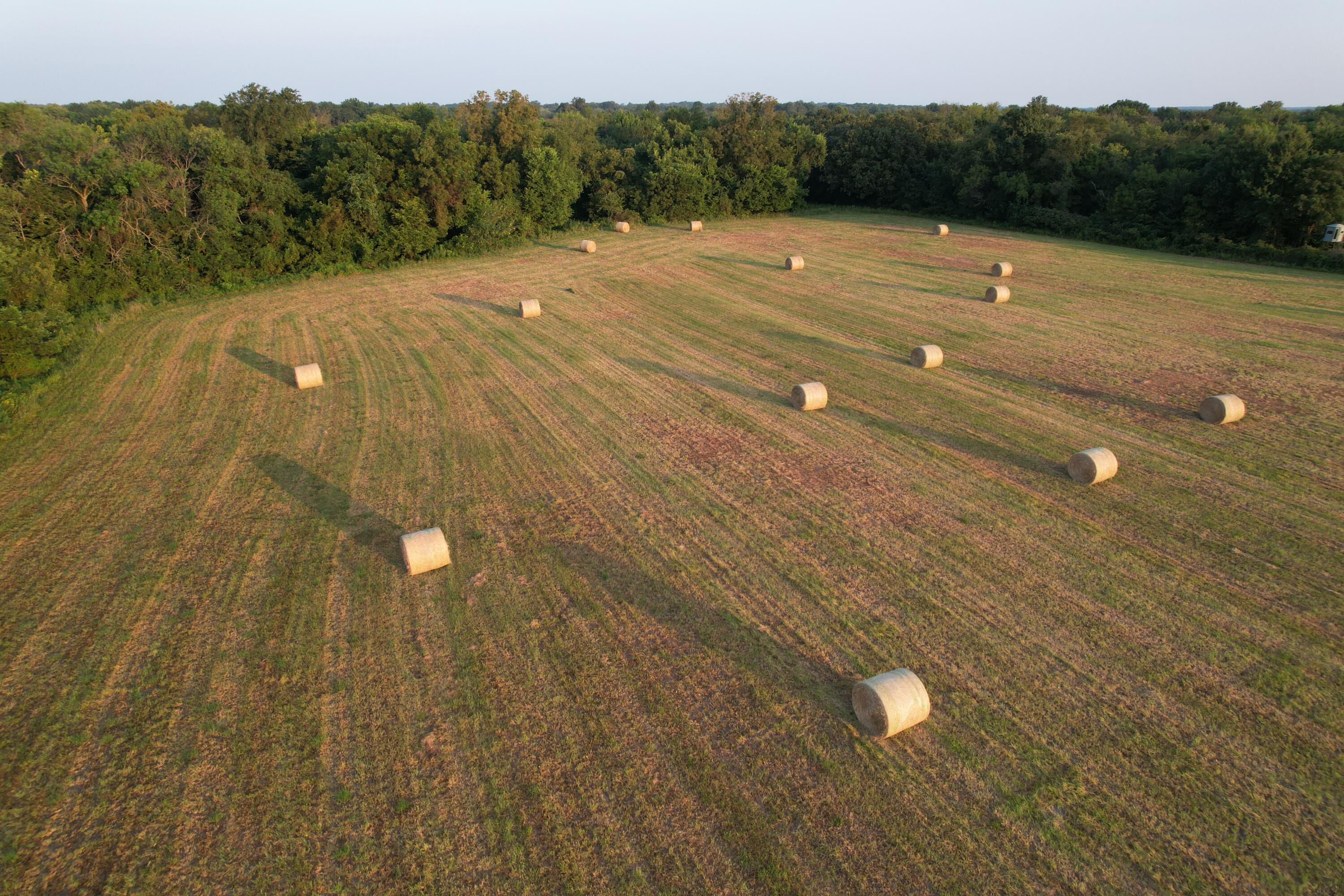 Photo 41 - Land for sale – 220 NW 40th Road  Lamar, MO
