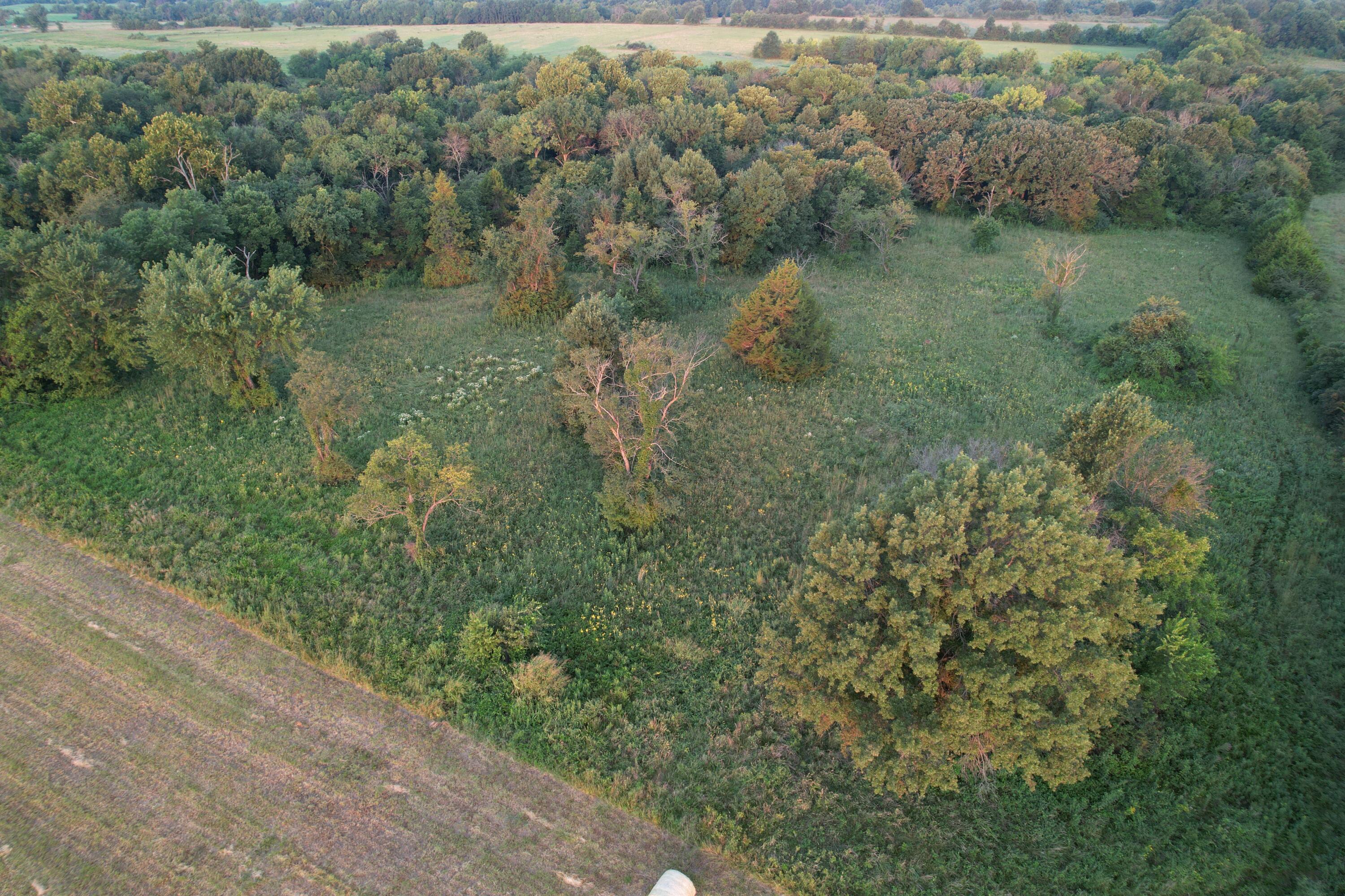 Photo 23 - Land for sale – 220 NW 40th Road  Lamar, MO