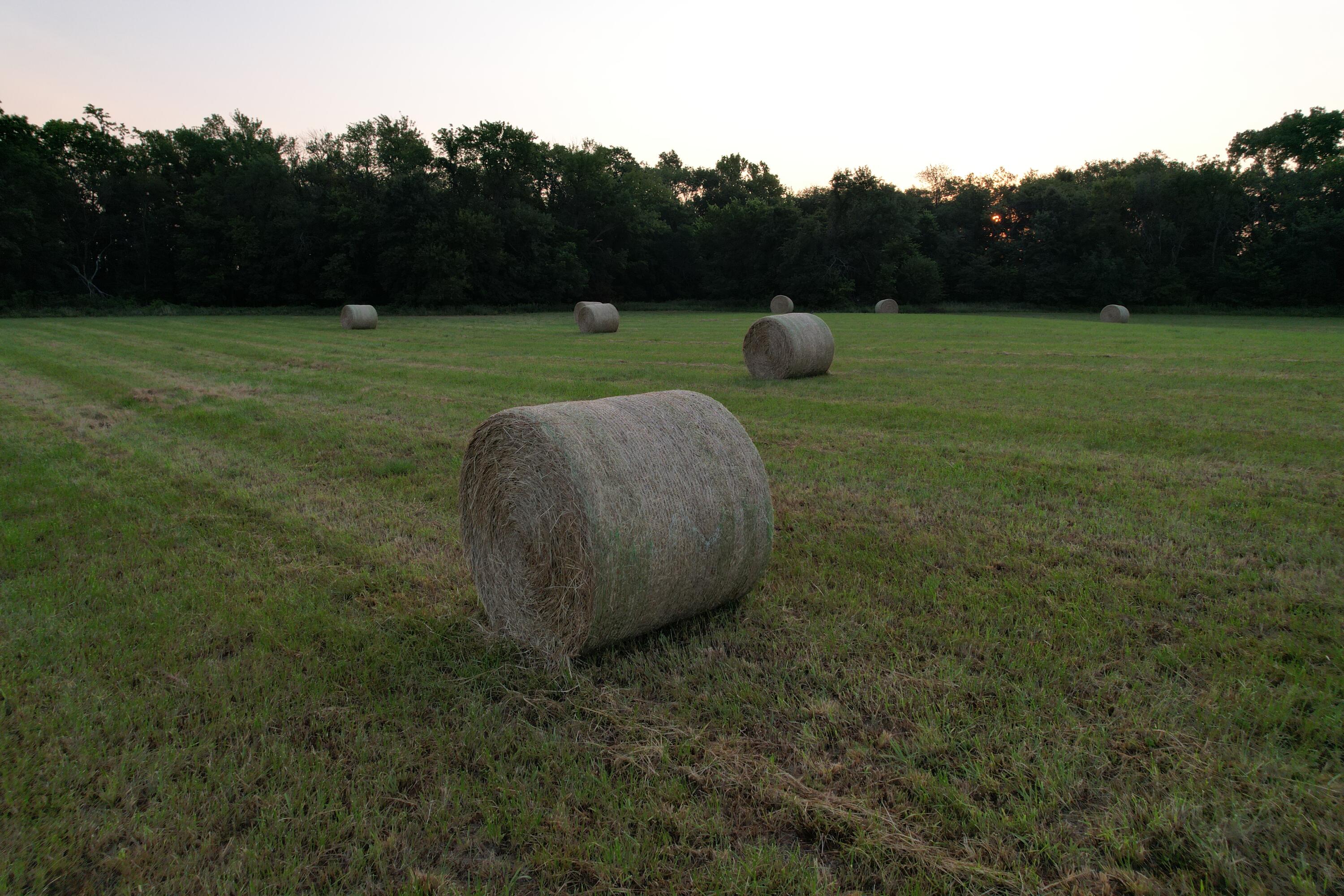 Photo 14 - Land for sale – 220 NW 40th Road  Lamar, MO
