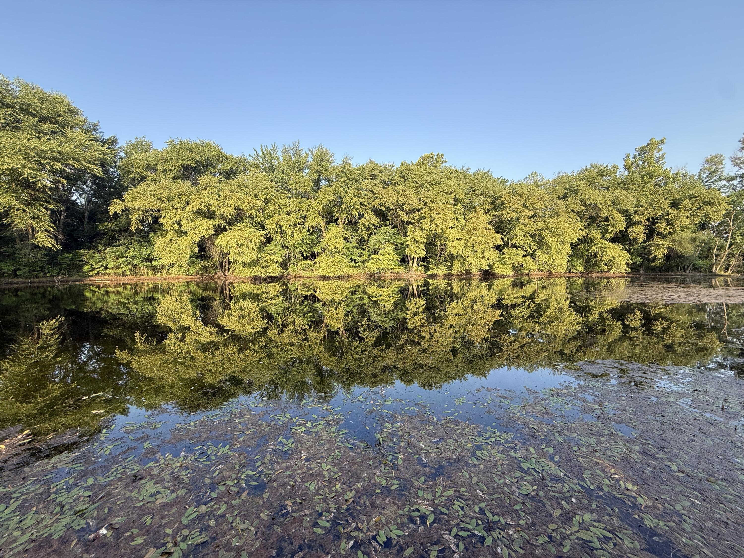 Photo 76 - Land for sale – 220 NW 40th Road  Lamar, MO