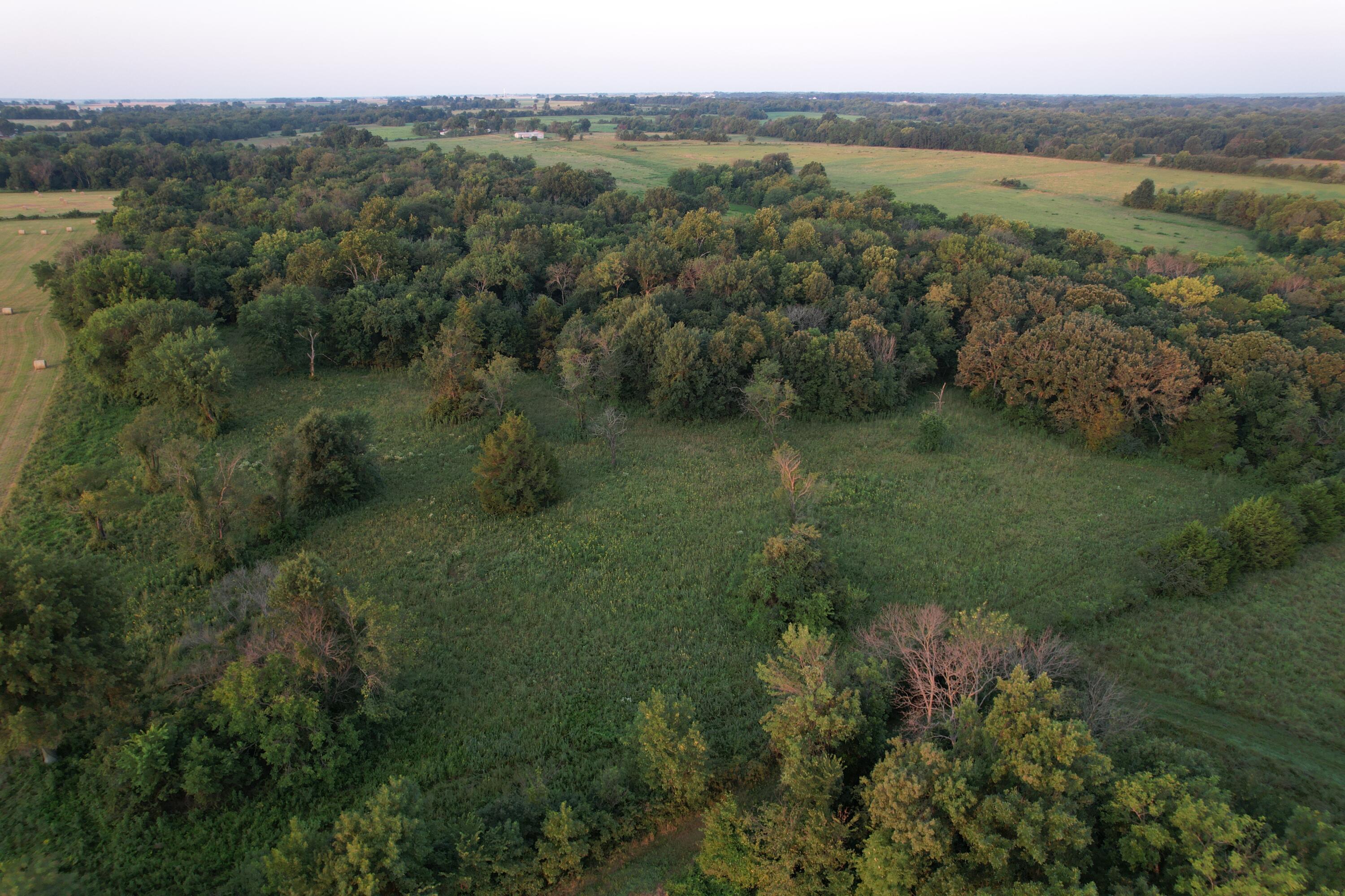 Photo 20 - Land for sale – 220 NW 40th Road  Lamar, MO