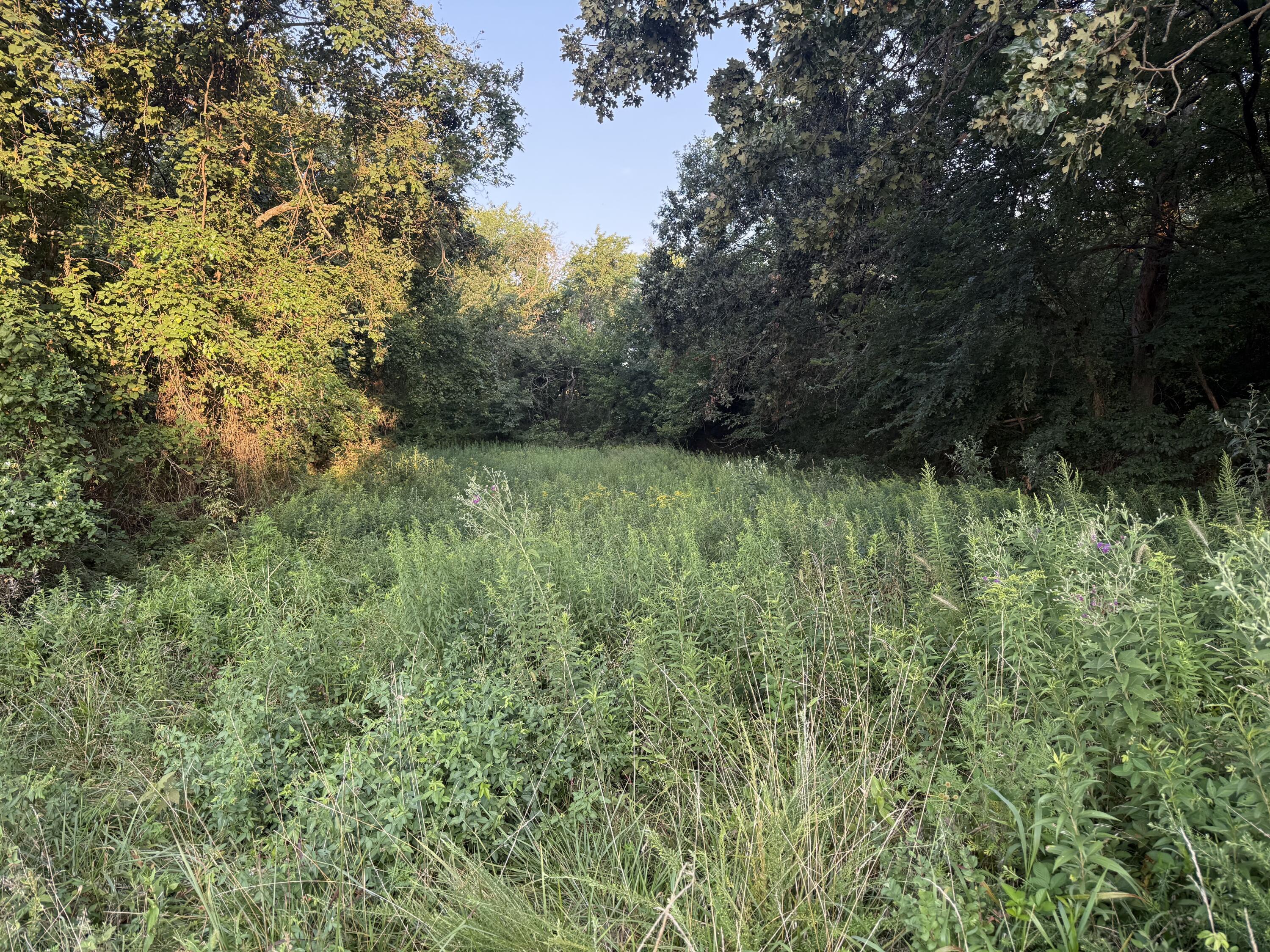 Photo 80 - Land for sale – 220 NW 40th Road  Lamar, MO