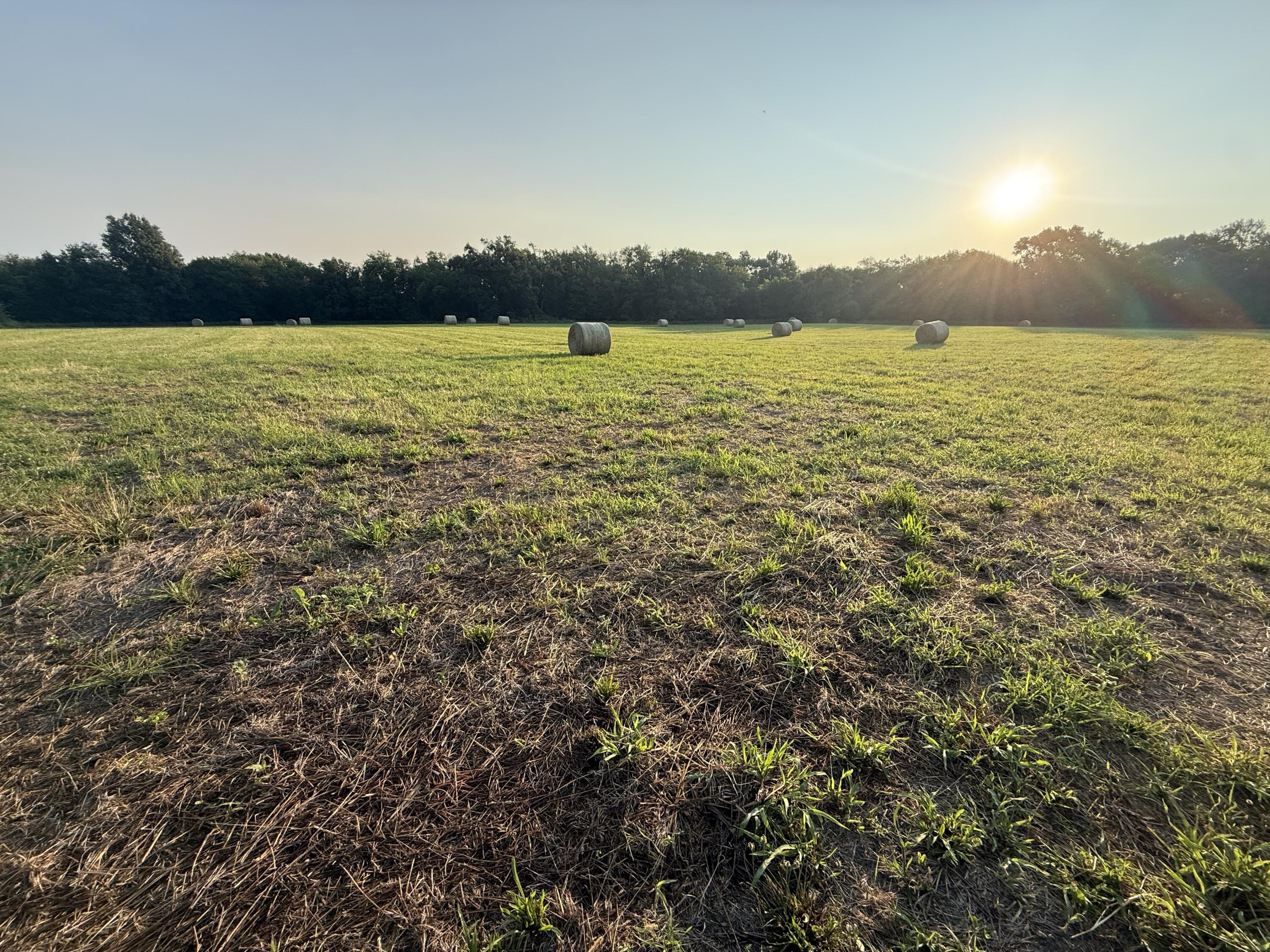 Photo 77 - Land for sale – 220 NW 40th Road  Lamar, MO