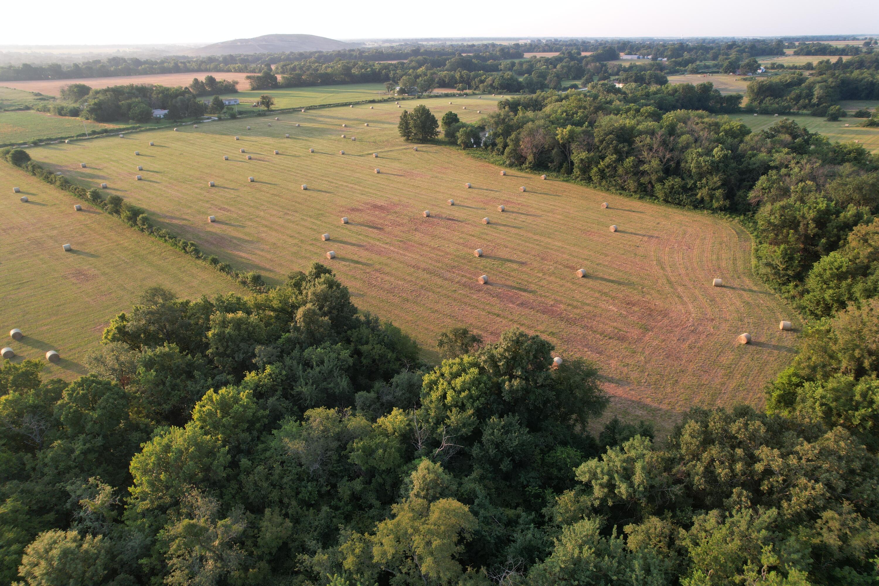 Photo 56 - Land for sale – 220 NW 40th Road  Lamar, MO