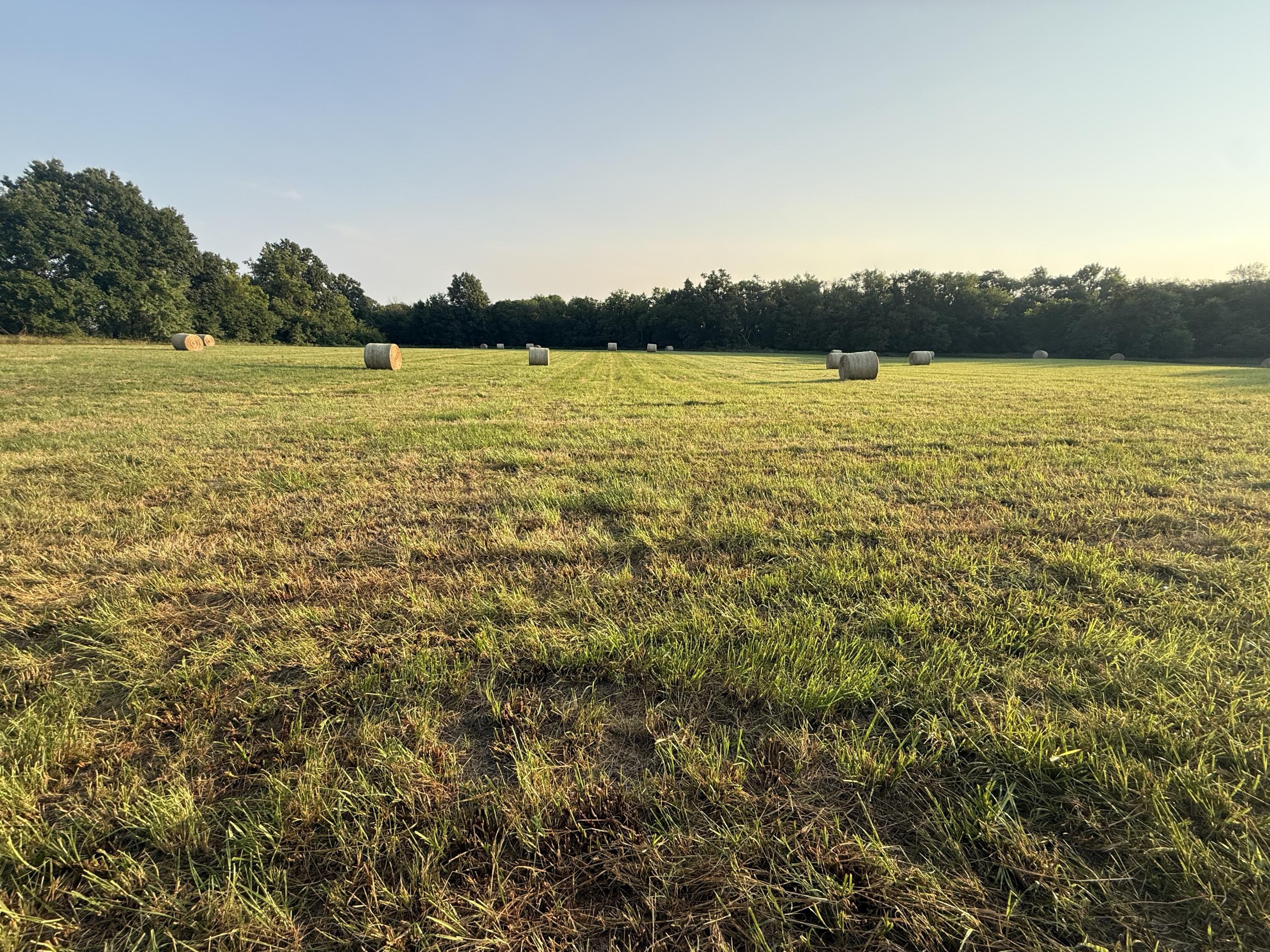 Photo 78 - Land for sale – 220 NW 40th Road  Lamar, MO