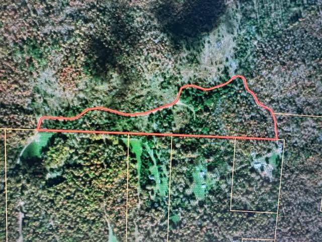Photo 4 - Land for sale – 000  County Road 434   Birch Tree, MO