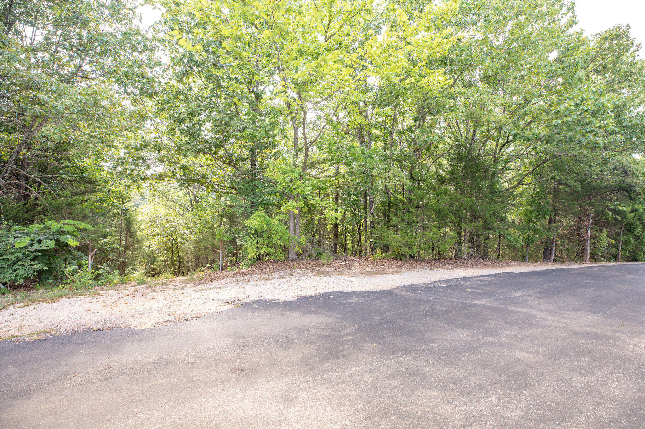 Photo 10 - Land for sale – 19  Moore Lane  Blue Eye, MO
