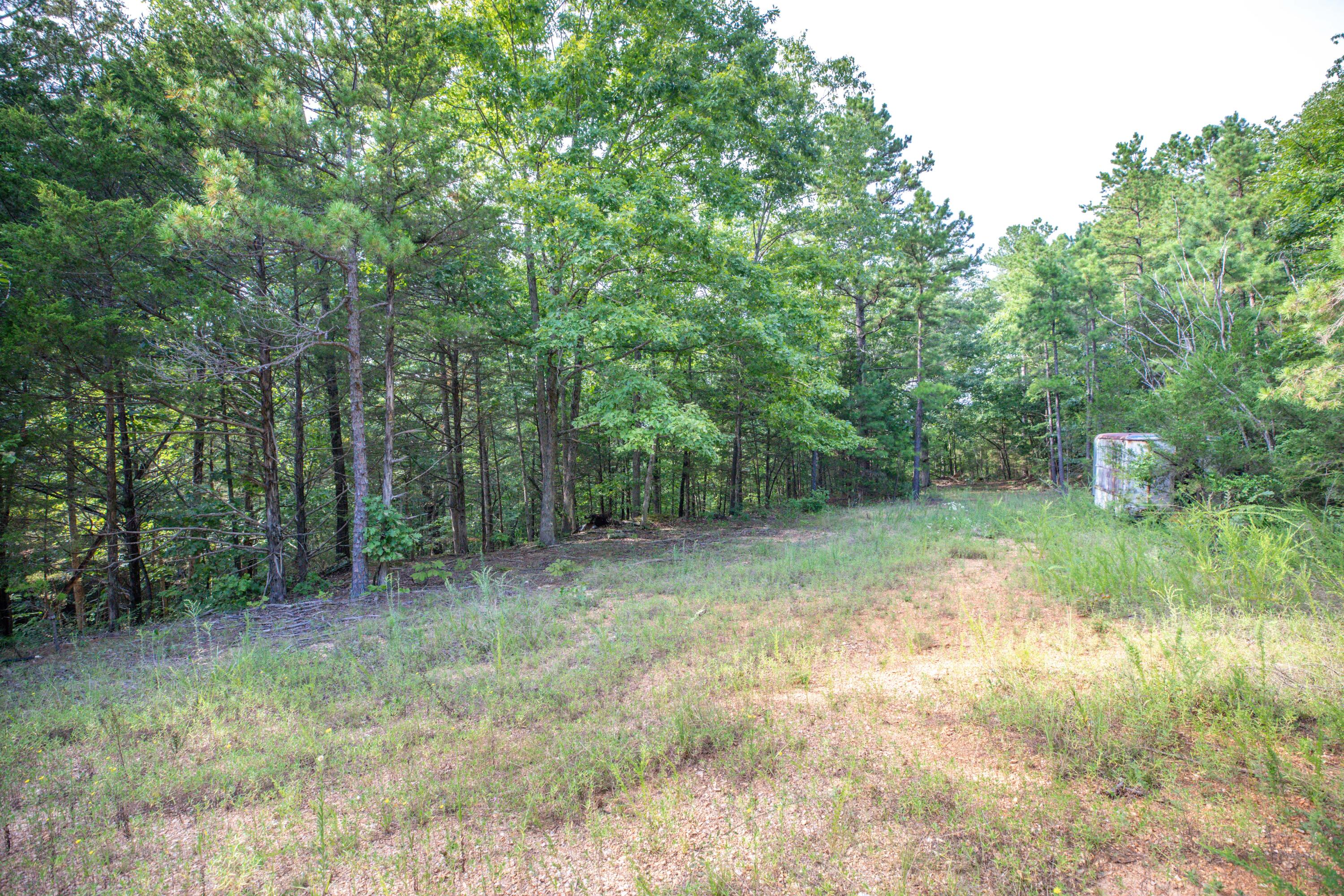 Photo 19 - Land for sale – 19  Moore Lane  Blue Eye, MO
