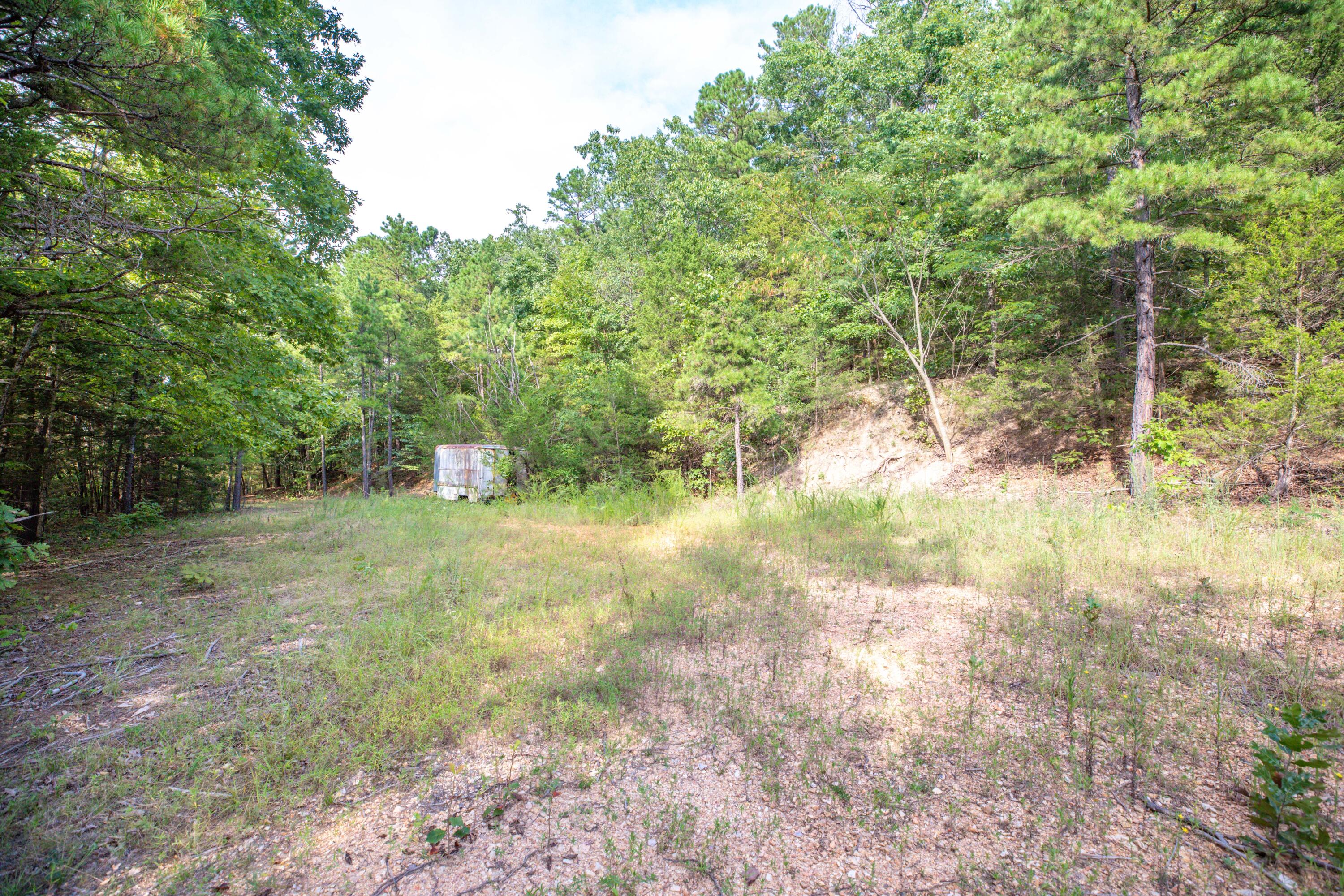 Photo 18 - Land for sale – 19  Moore Lane  Blue Eye, MO