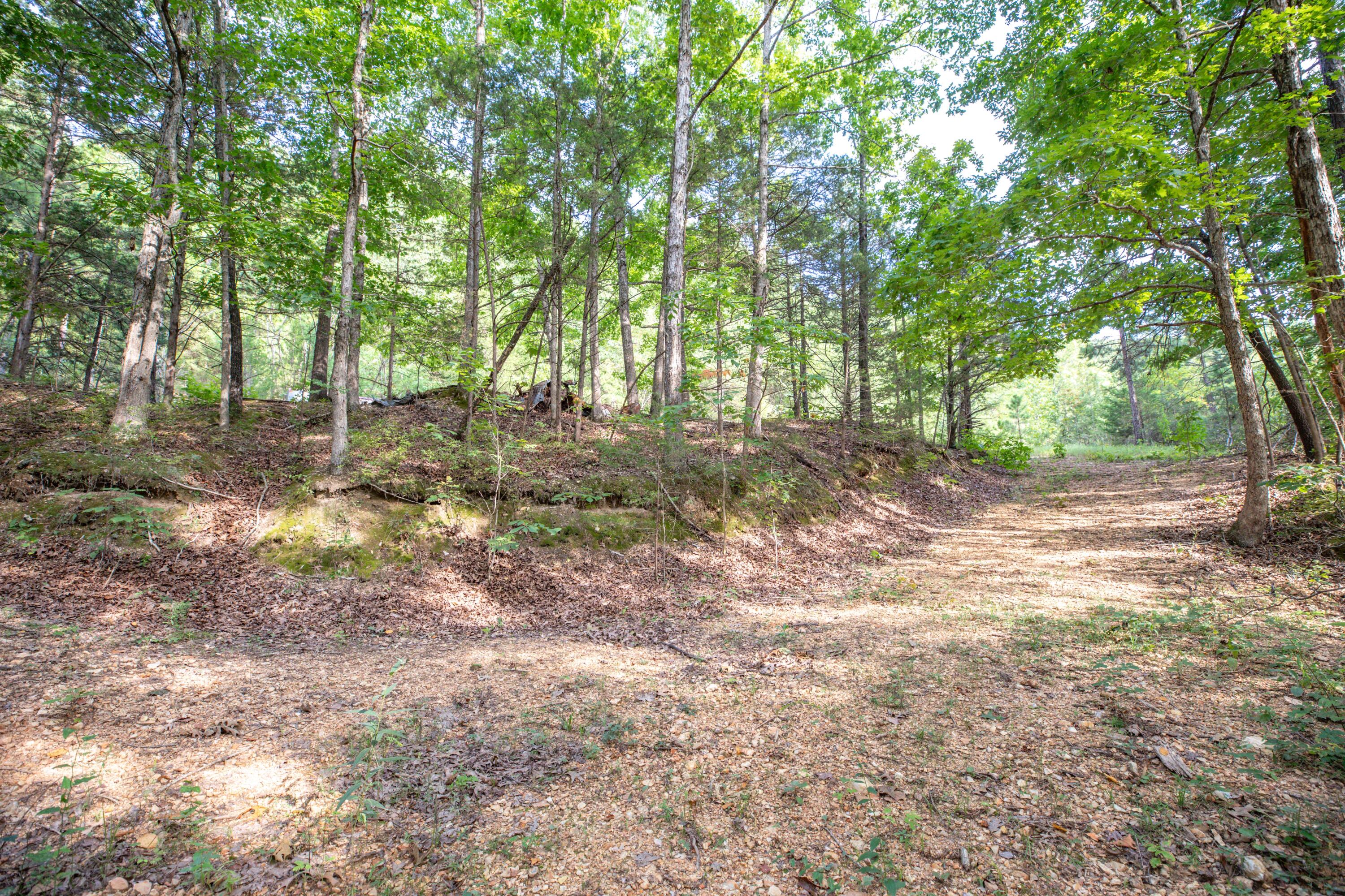 Photo 16 - Land for sale – 19  Moore Lane  Blue Eye, MO