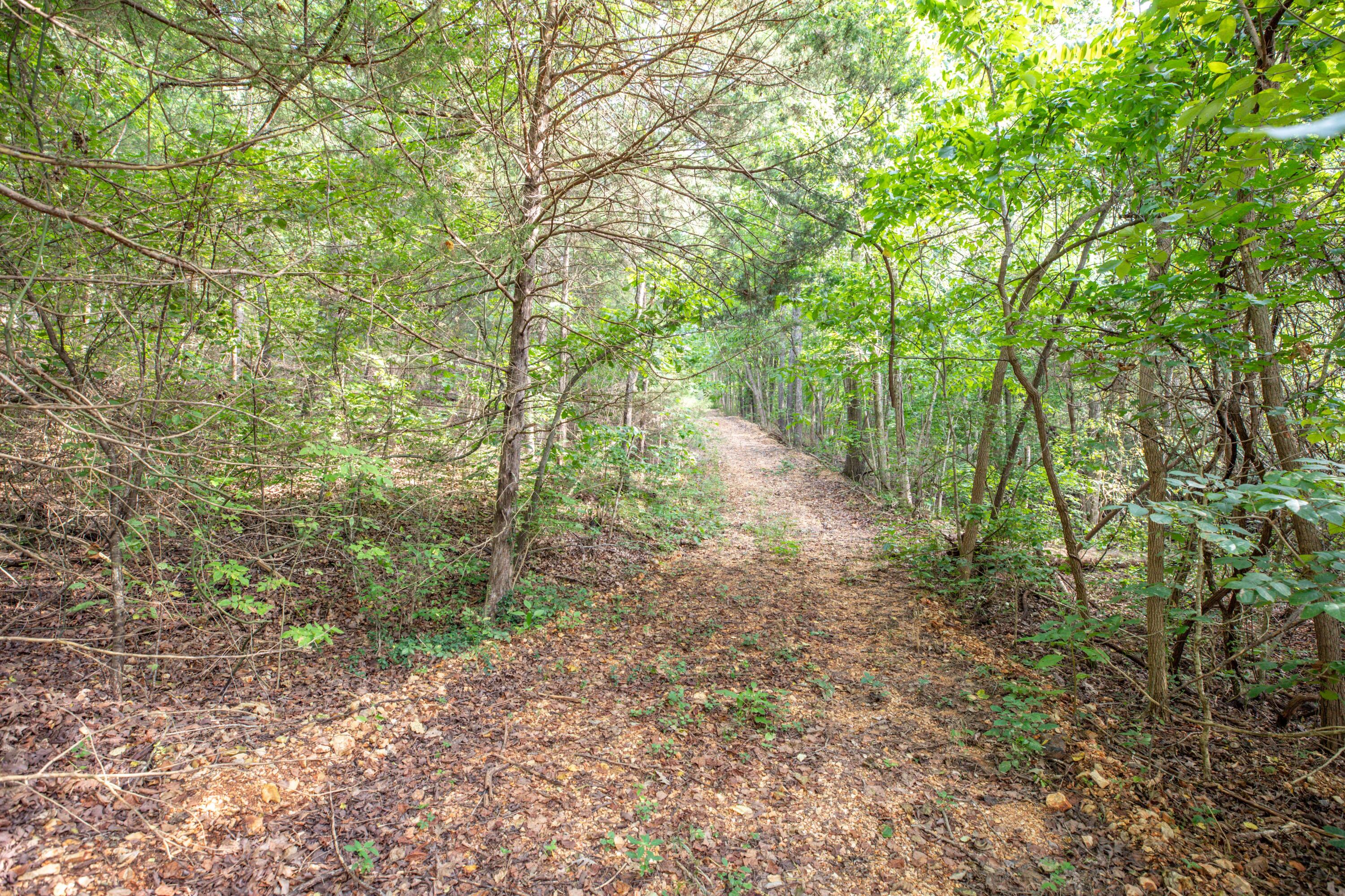 Photo 15 - Land for sale – 19  Moore Lane  Blue Eye, MO