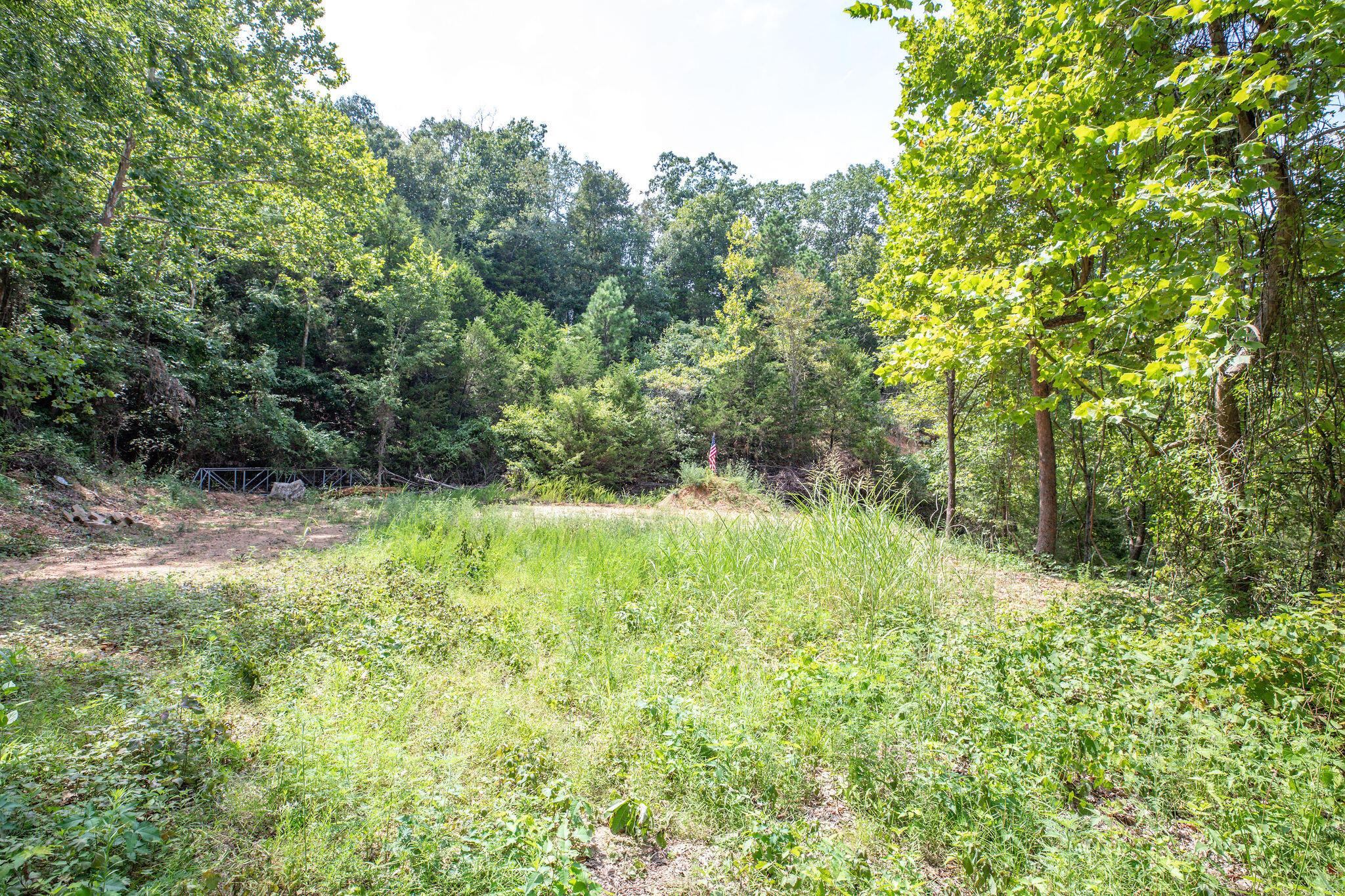 Photo 13 - Land for sale – 19  Moore Lane  Blue Eye, MO