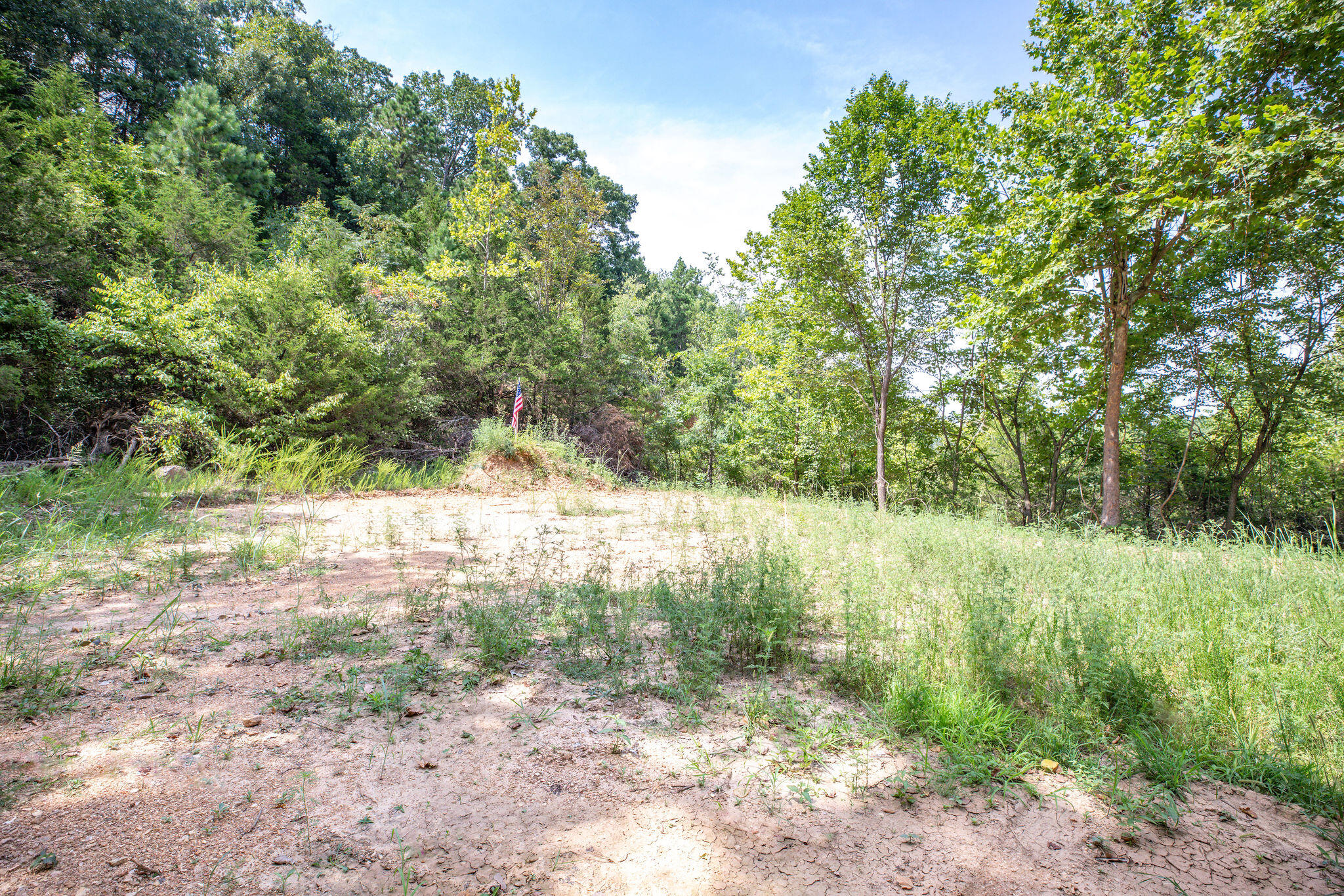 Photo 14 - Land for sale – 19  Moore Lane  Blue Eye, MO