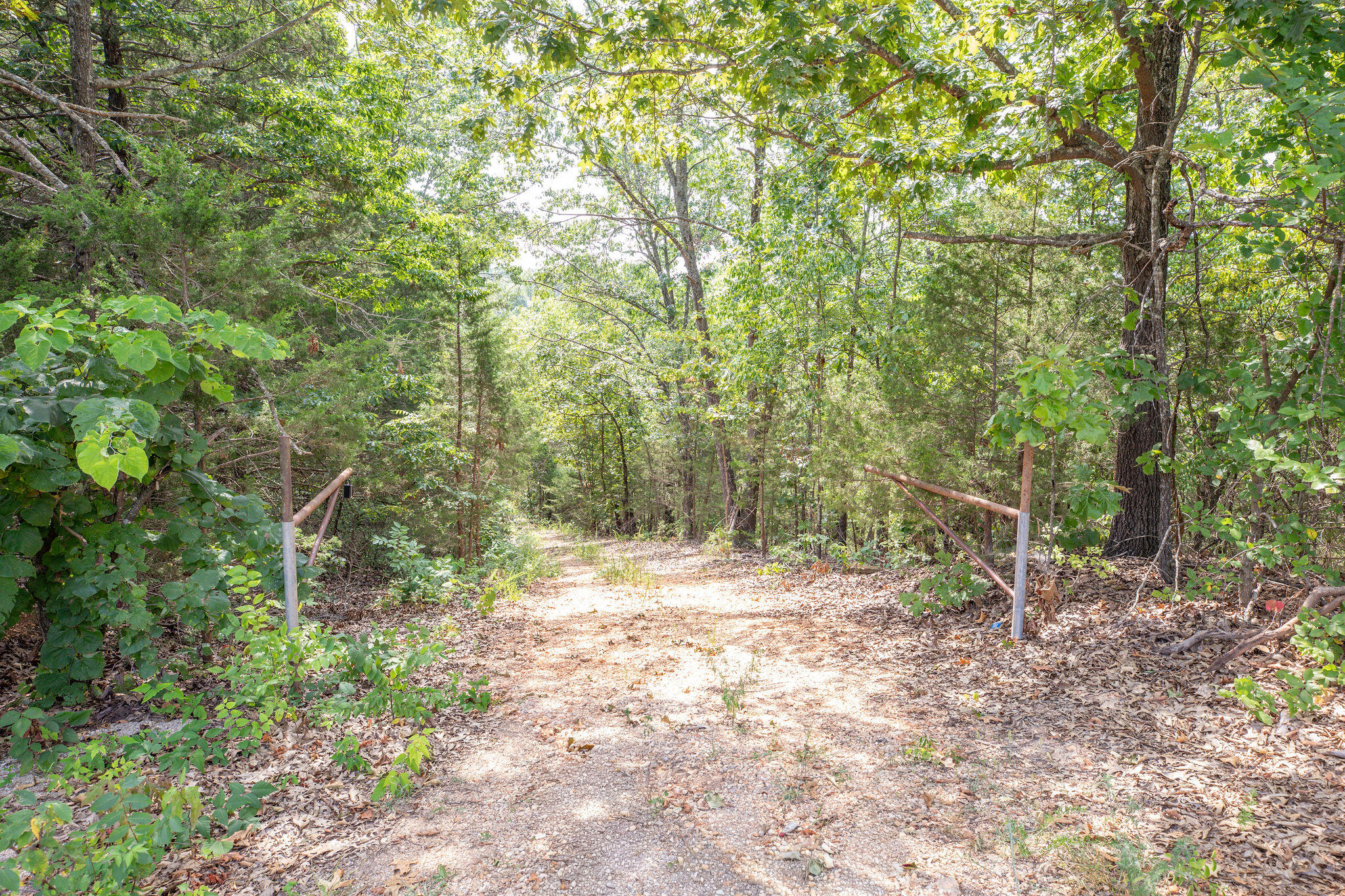 Photo 11 - Land for sale – 19  Moore Lane  Blue Eye, MO