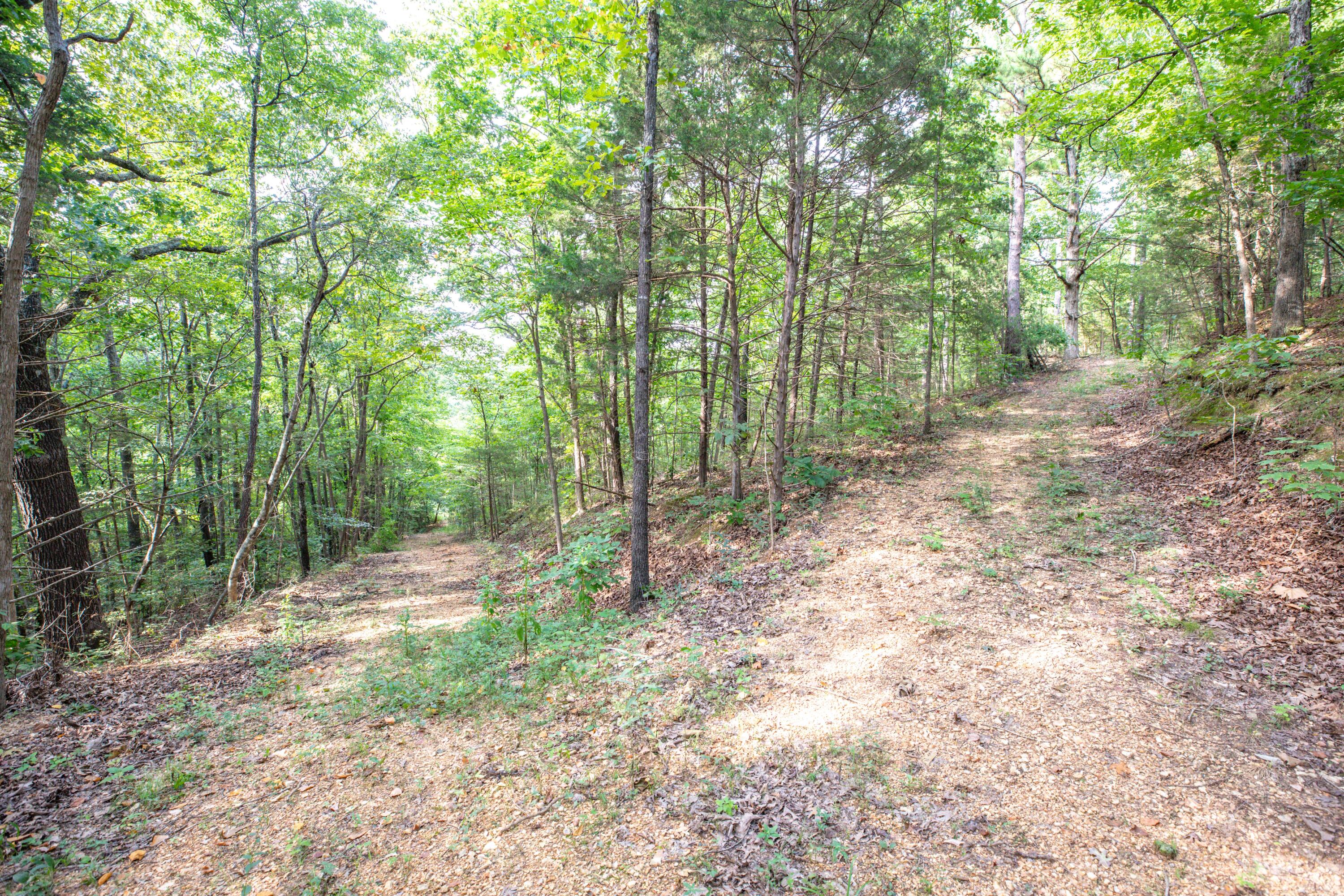 Photo 17 - Land for sale – 19  Moore Lane  Blue Eye, MO