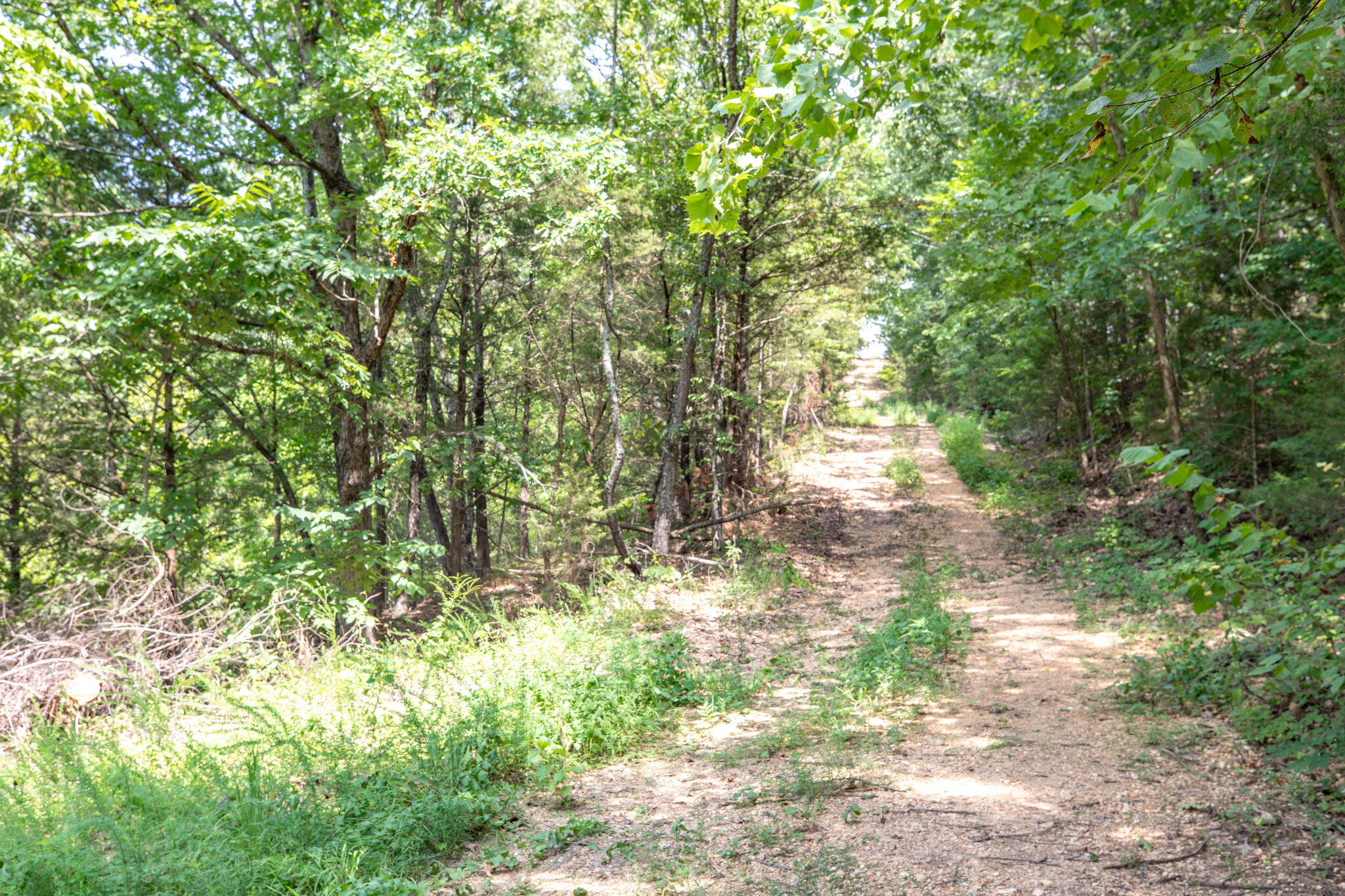 Photo 12 - Land for sale – 19  Moore Lane  Blue Eye, MO