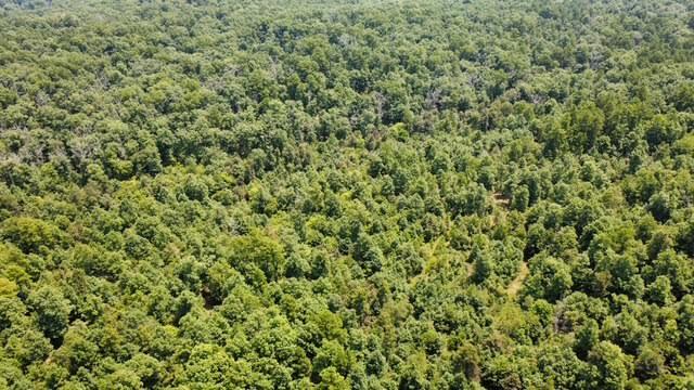 Photo 7 - Land for sale – 000  County Road 434   Birch Tree, MO