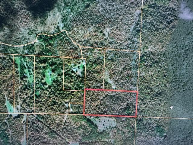 Land for sale – 000  County Road 434   Birch Tree, MO