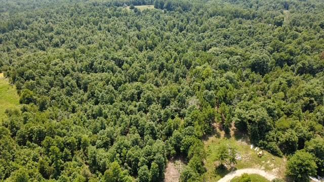 Photo 5 - Land for sale – 000  County Road 434   Birch Tree, MO