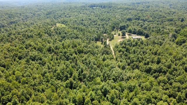 Photo 6 - Land for sale – 000  County Road 434   Birch Tree, MO