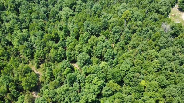 Photo 4 - Land for sale – 000  County Road 434   Birch Tree, MO
