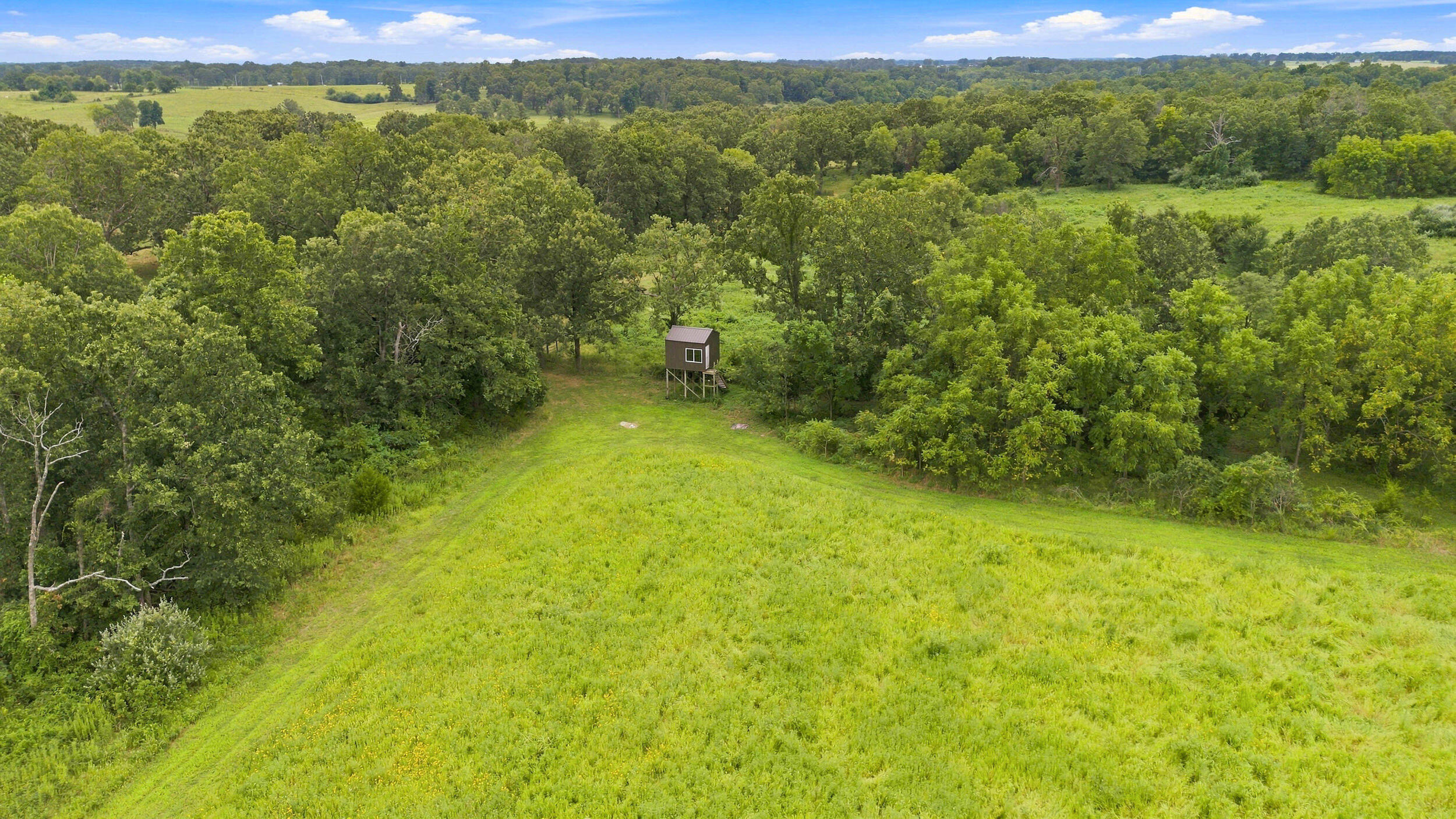 Photo 103 - Farm for sale – 22554  Lawrence 1200   Aurora, MO