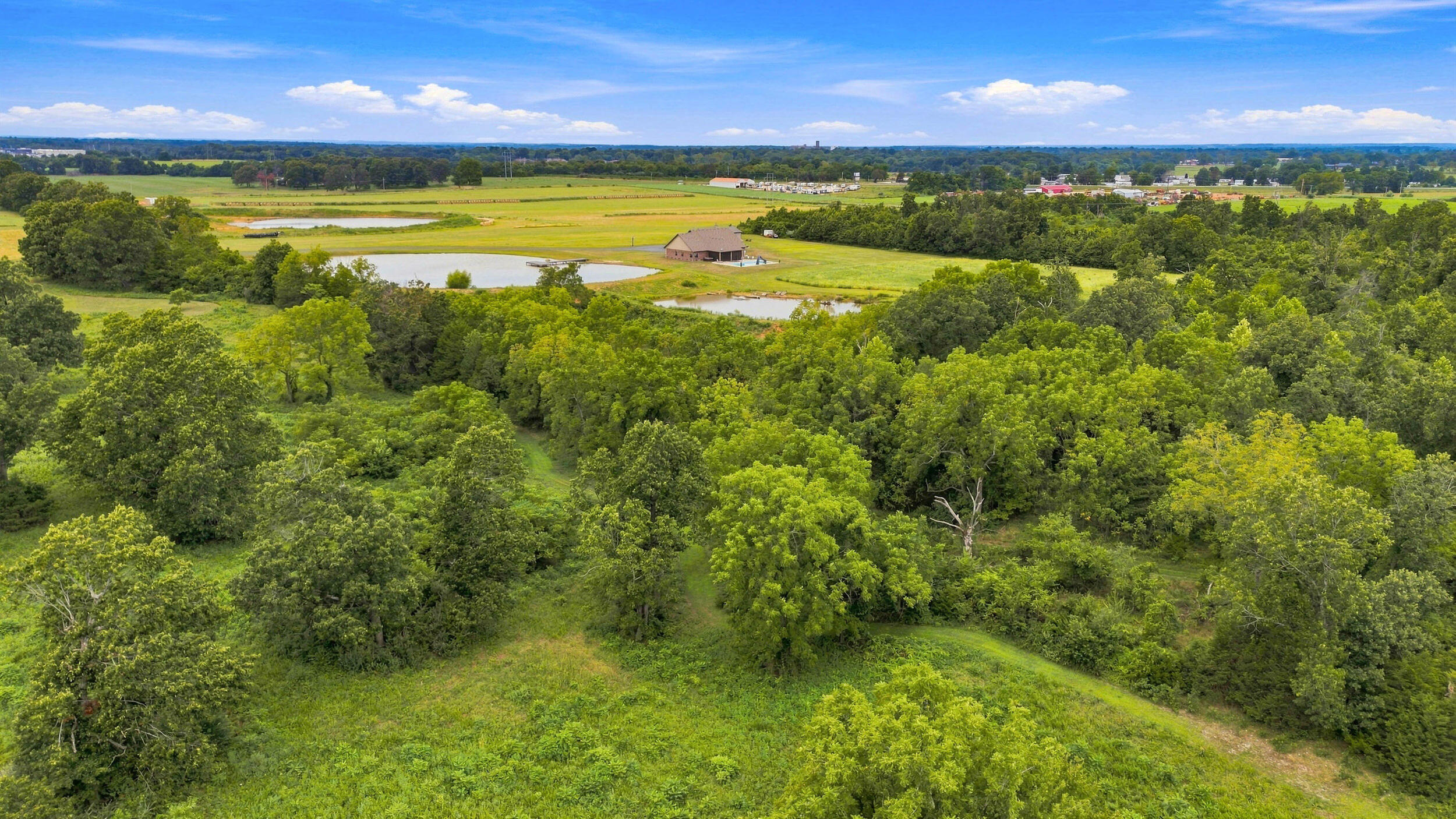 Photo 101 - Farm for sale – 22554  Lawrence 1200   Aurora, MO