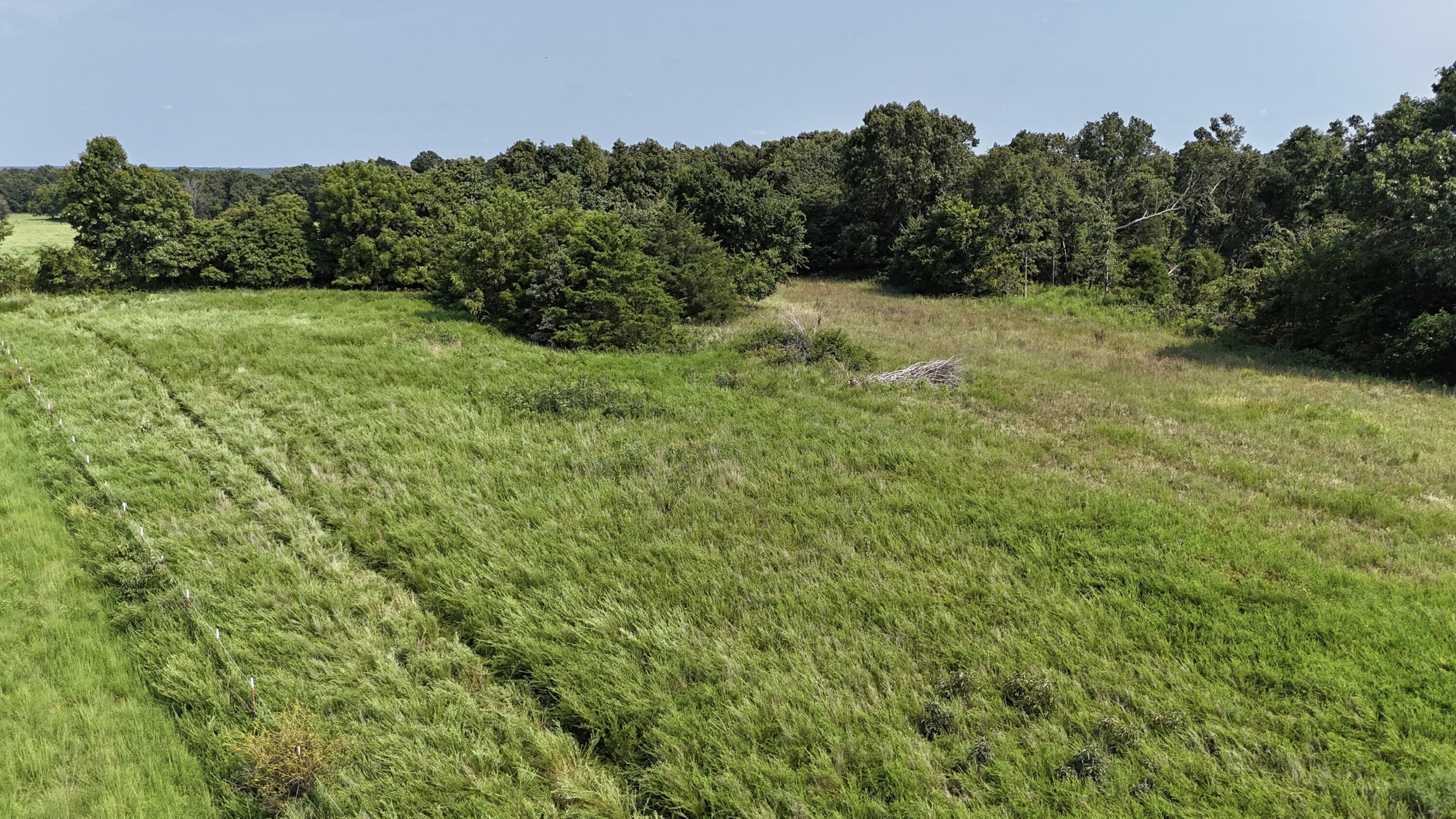 Photo 4 - Land for sale – 0  Highway Z   Hartville, MO