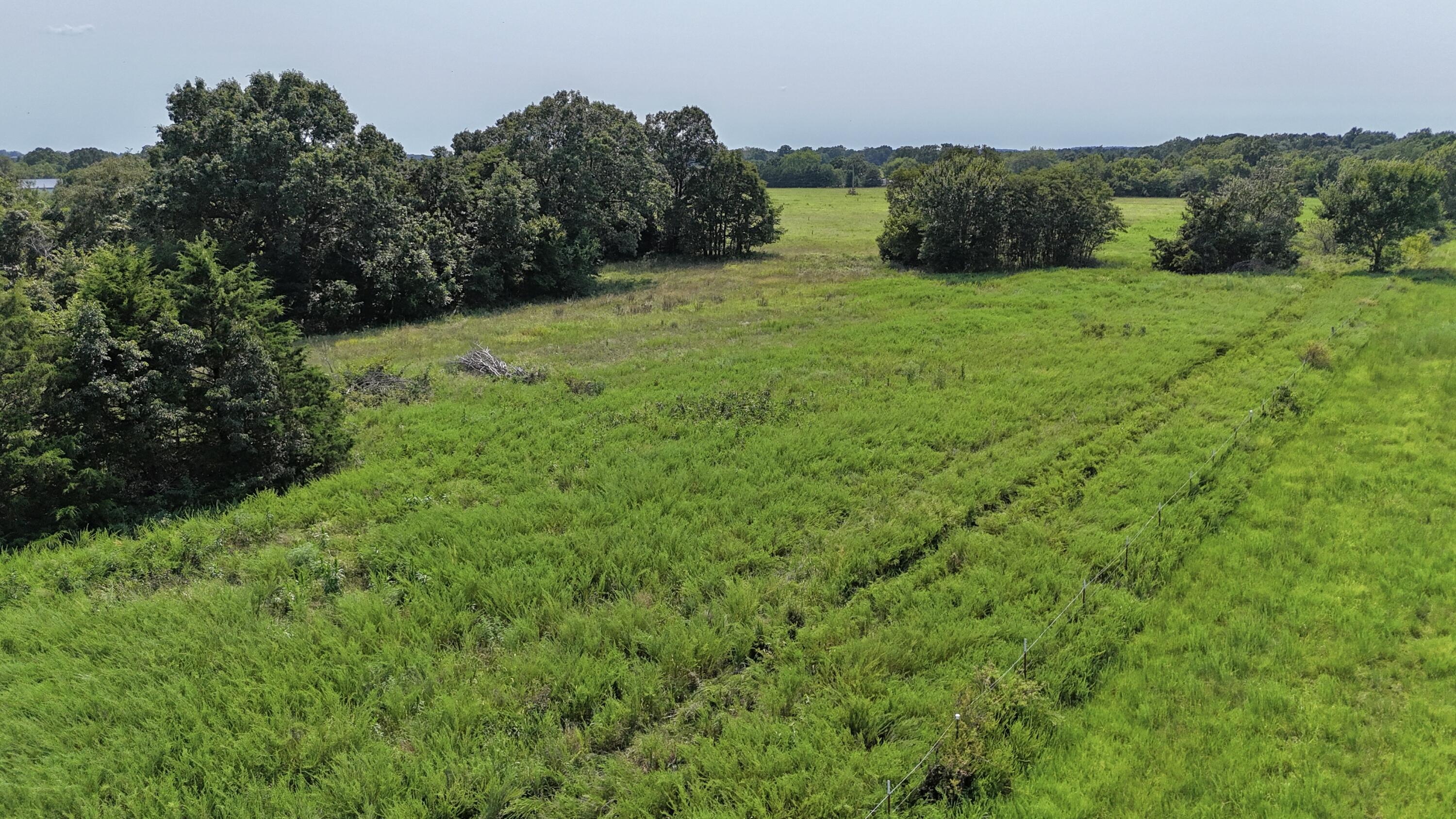 Photo 12 - Land for sale – 0  Highway Z   Hartville, MO