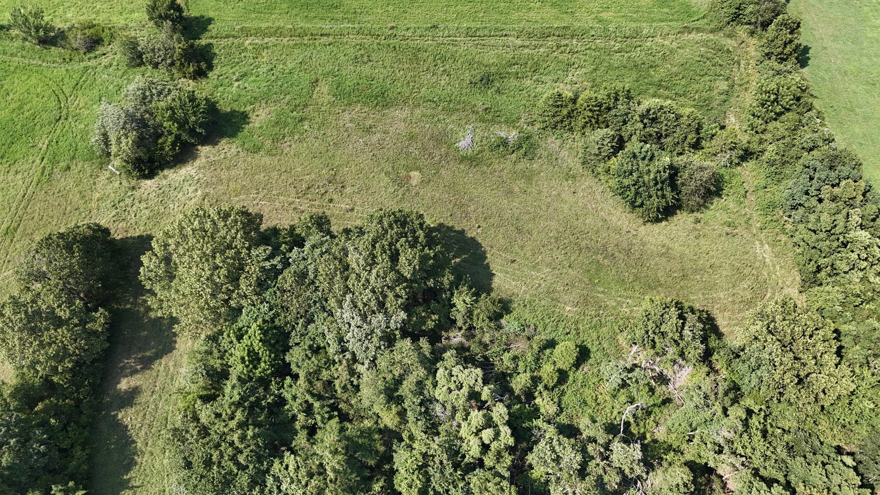 Photo 17 - Land for sale – 0  Highway Z   Hartville, MO