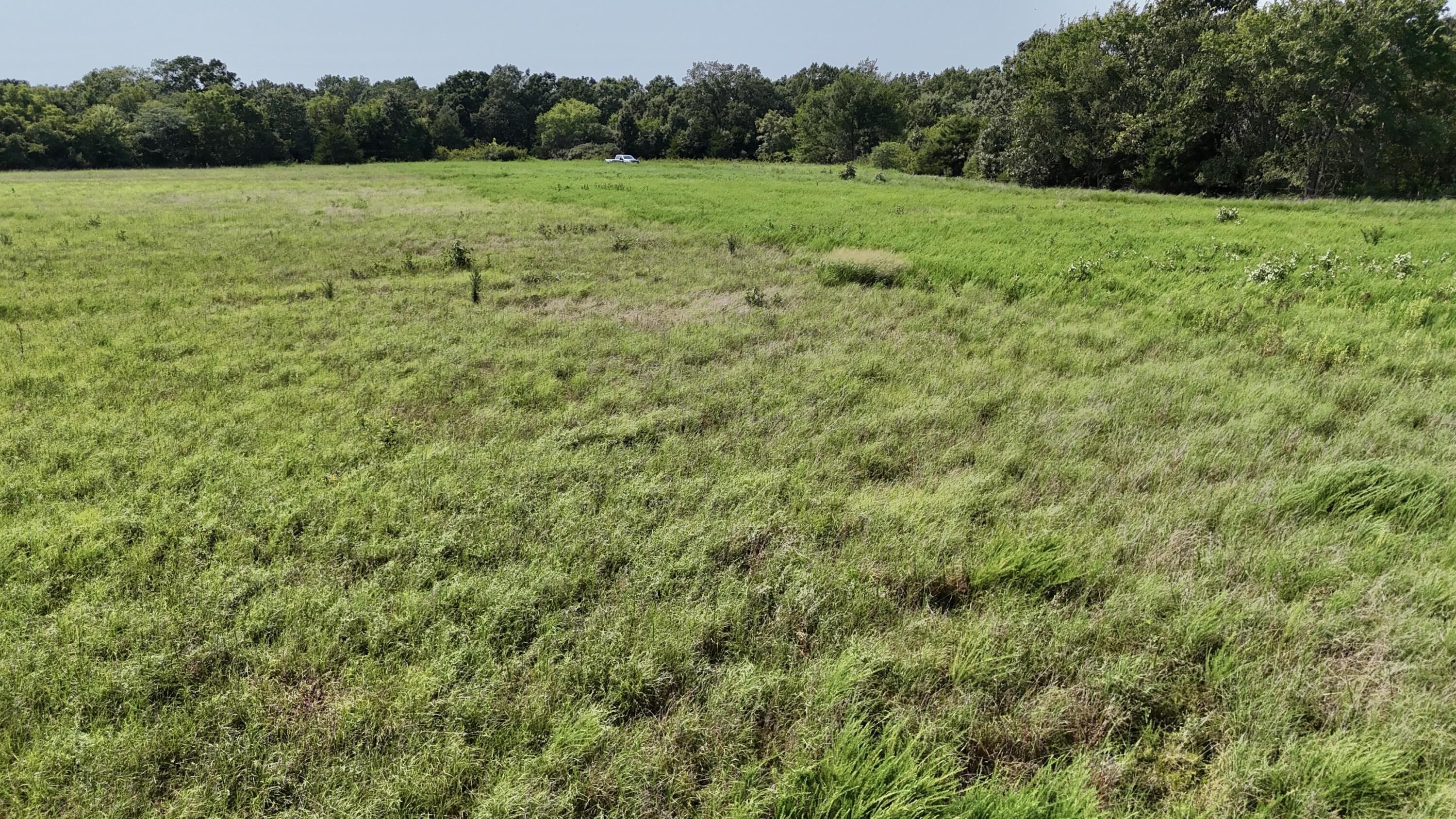 Photo 13 - Land for sale – 0  Highway Z   Hartville, MO