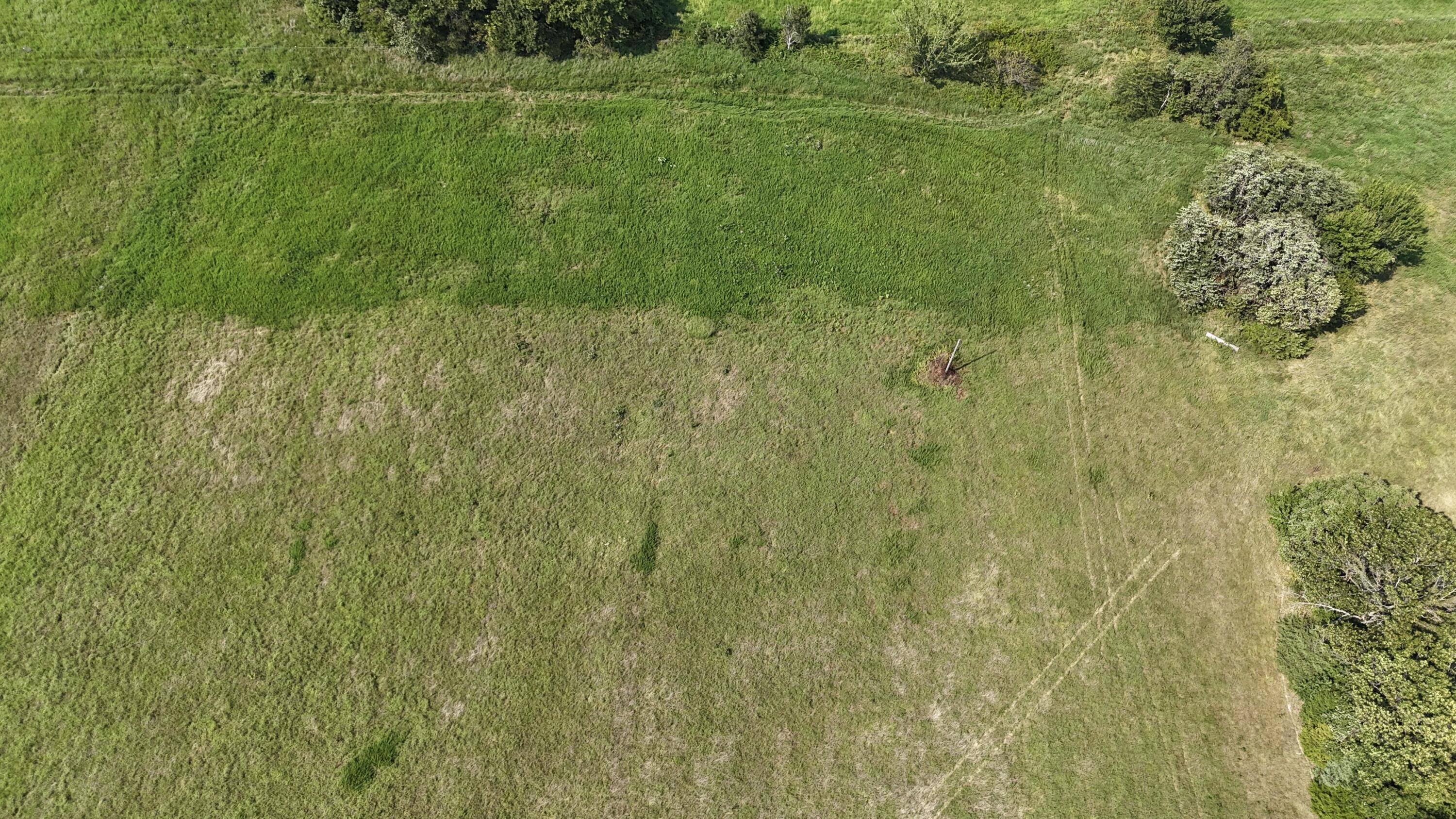 Photo 18 - Land for sale – 0  Highway Z   Hartville, MO