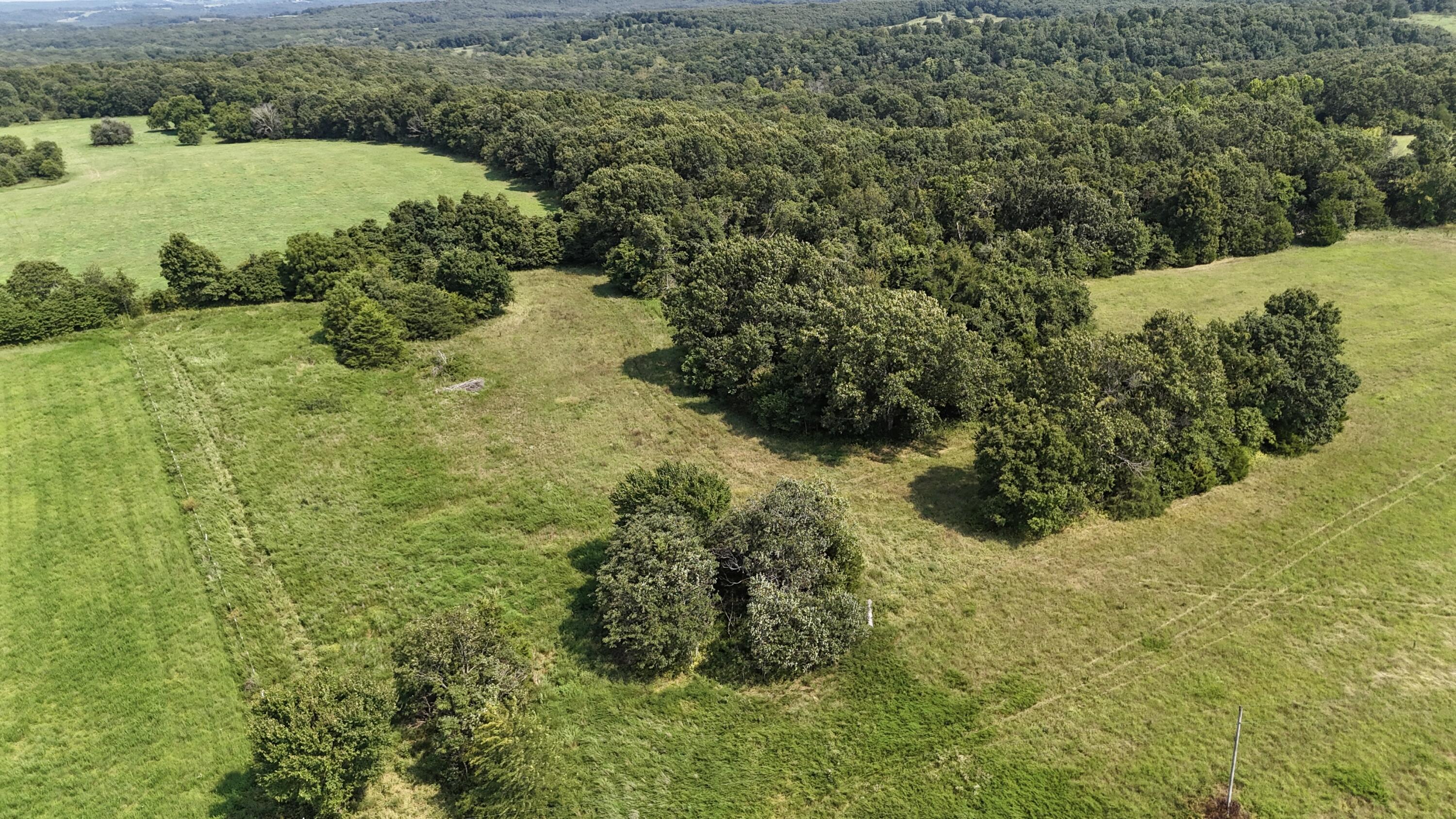 Photo 5 - Land for sale – 0  Highway Z   Hartville, MO