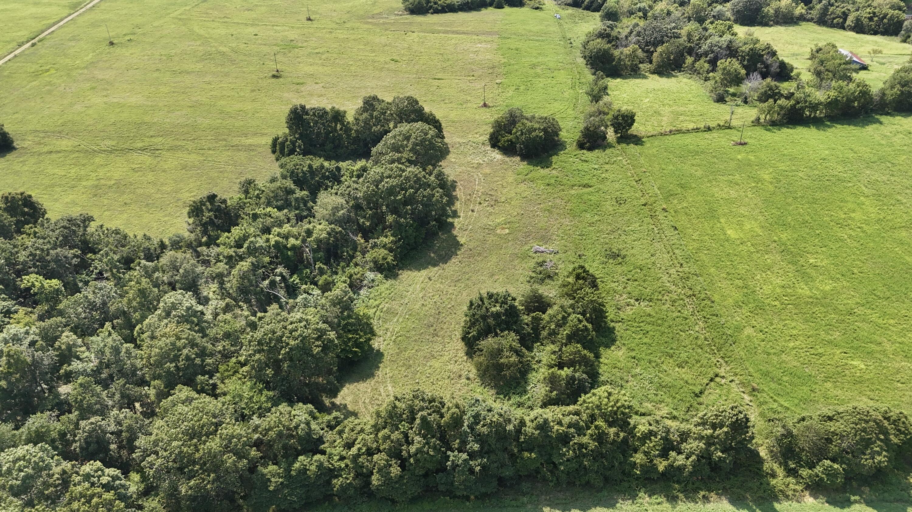 Photo 7 - Land for sale – 0  Highway Z   Hartville, MO