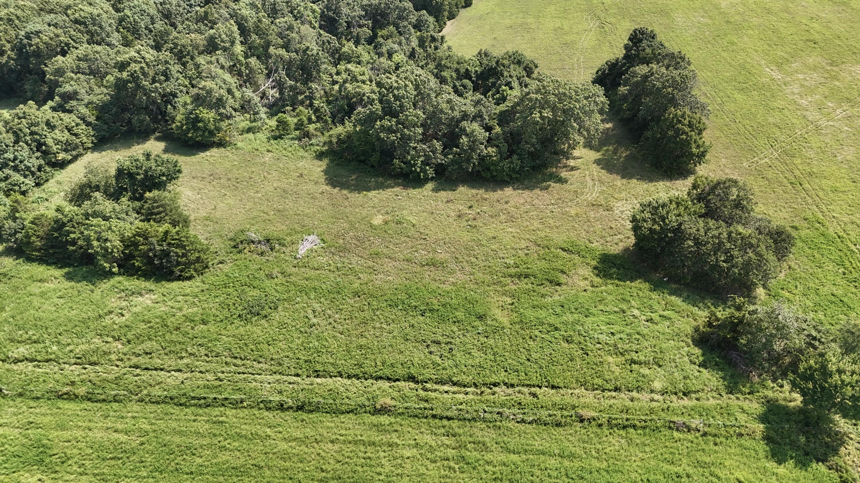 Photo 6 - Land for sale – 0  Highway Z   Hartville, MO
