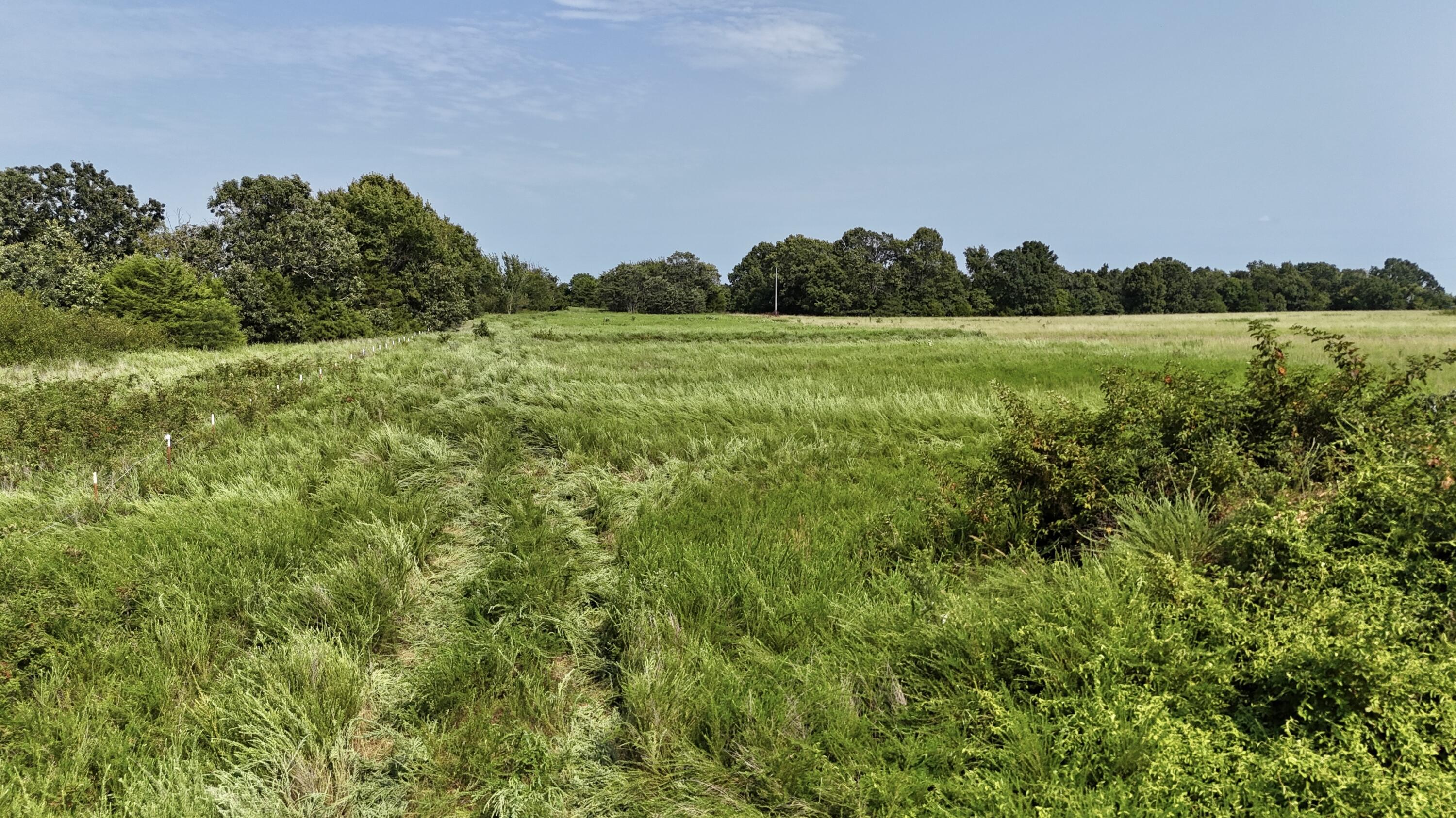 Photo 19 - Land for sale – 0  Highway Z   Hartville, MO