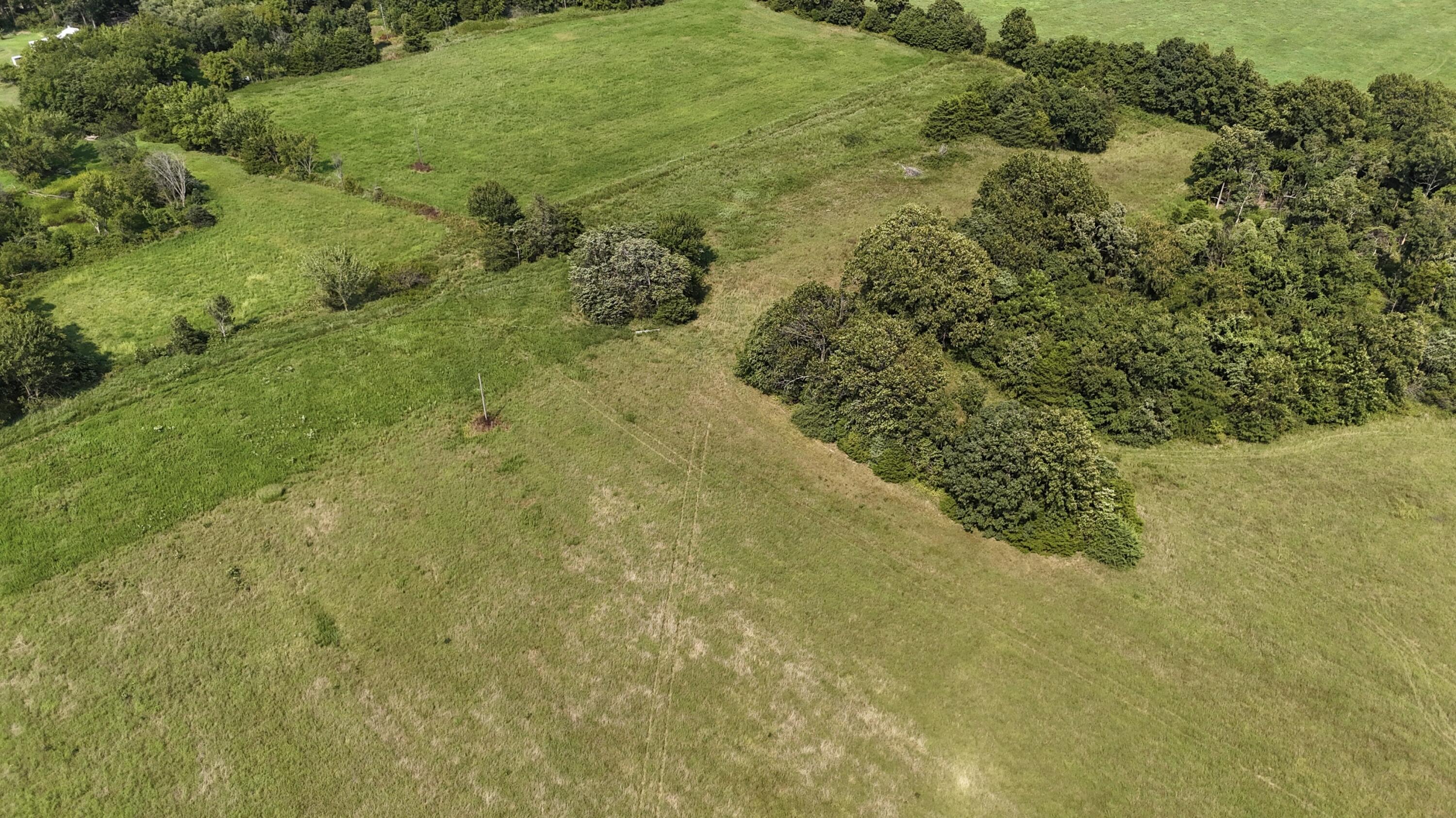 Photo 10 - Land for sale – 0  Highway Z   Hartville, MO