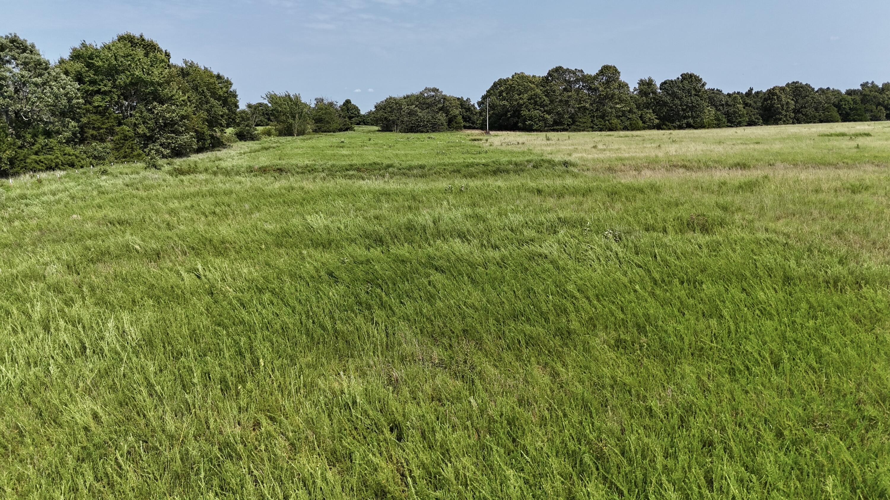 Photo 3 - Land for sale – 0  Highway Z   Hartville, MO