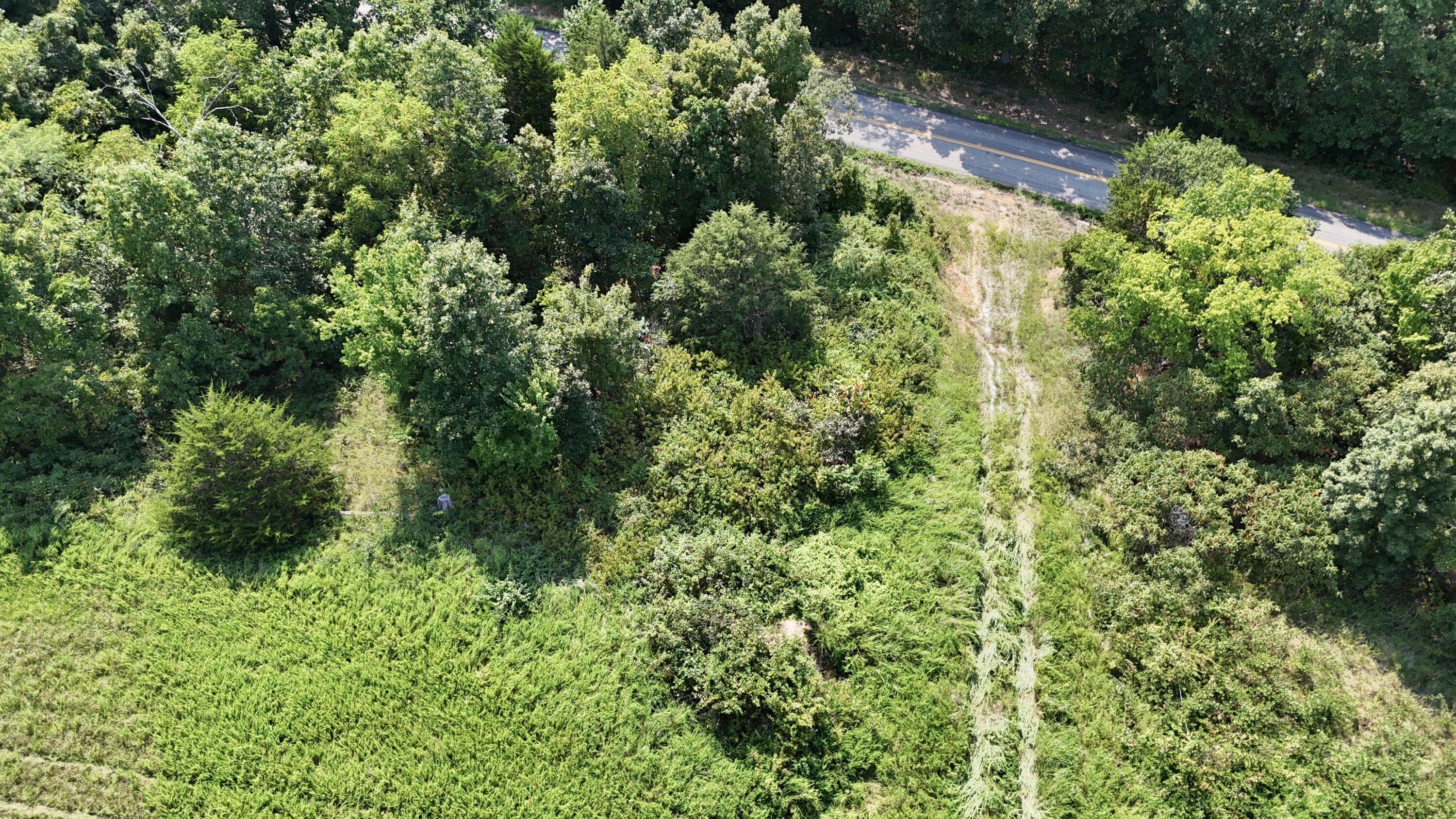 Photo 14 - Land for sale – 0  Highway Z   Hartville, MO