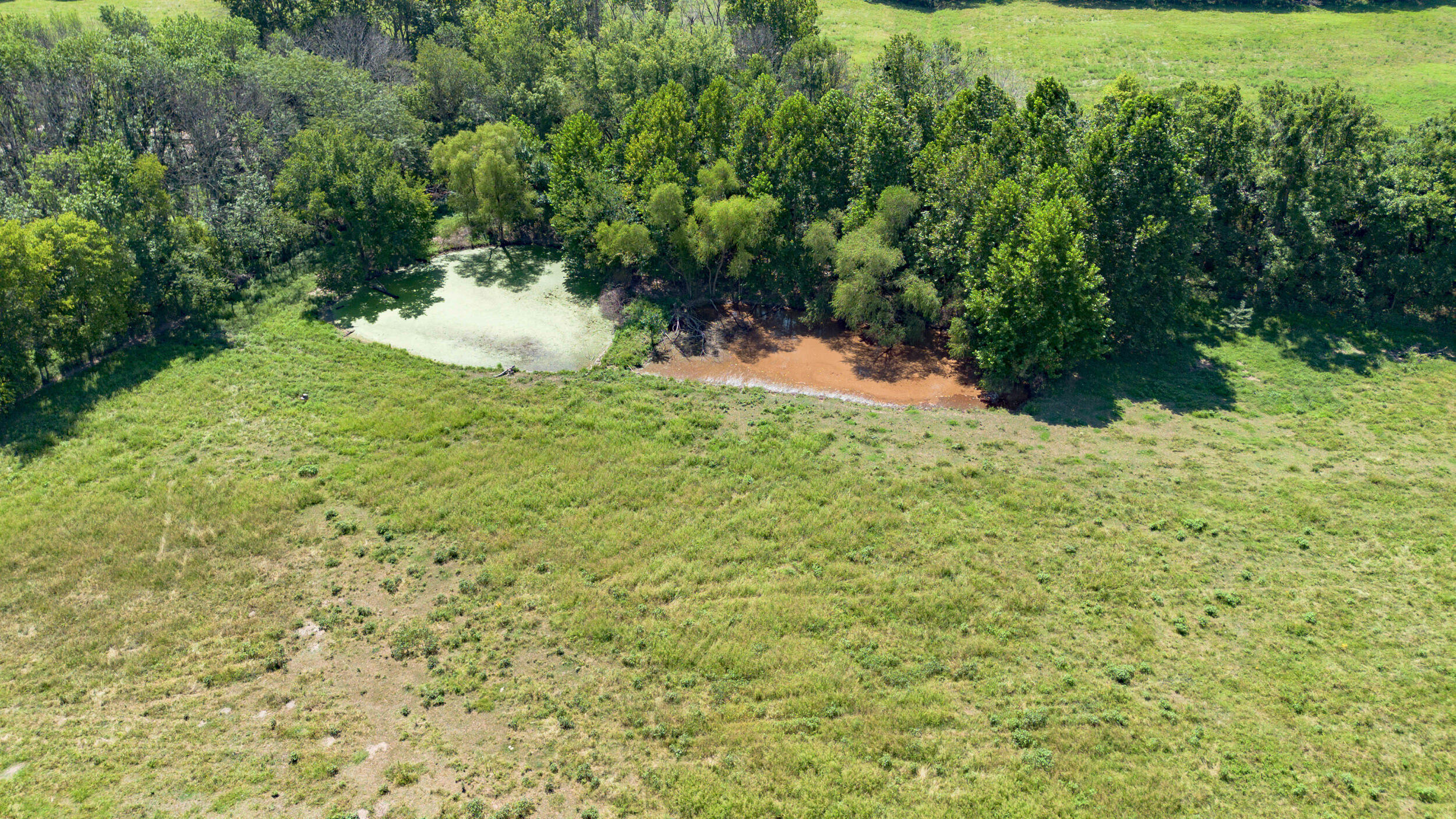 Photo 5 - Land for sale – Lot 1  Lawrence 1020   Pierce City, MO