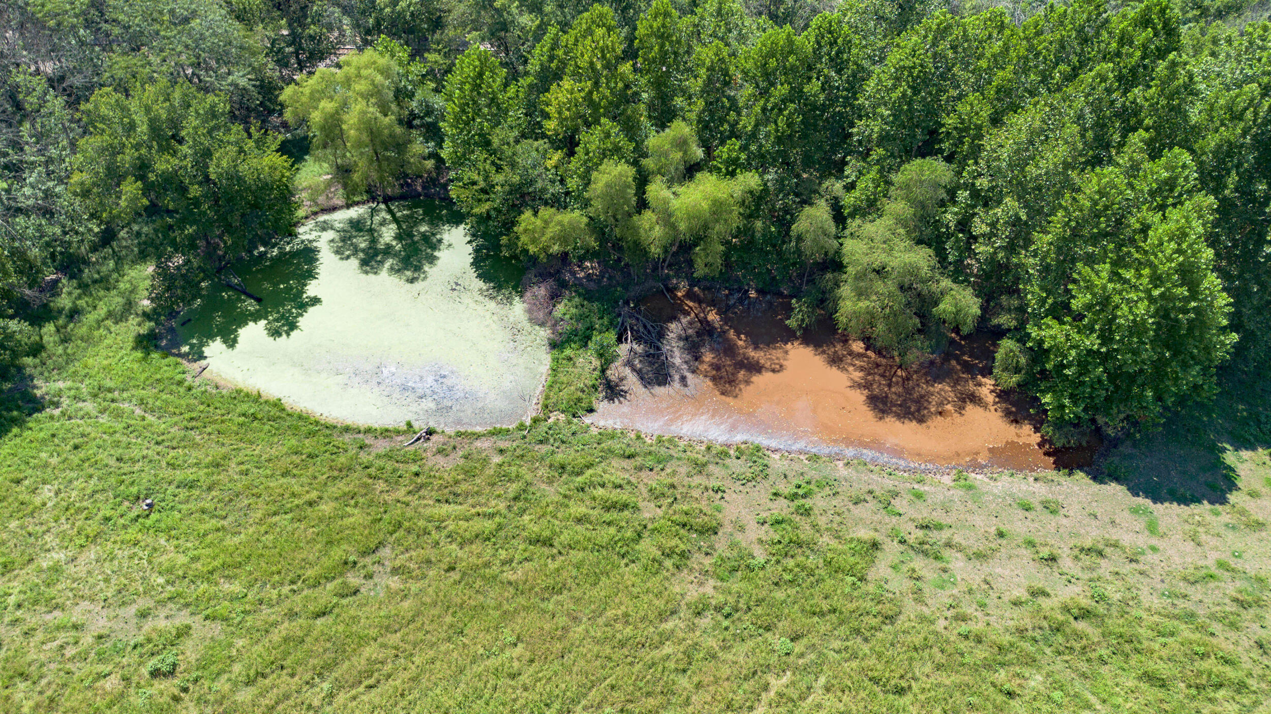 Photo 6 - Land for sale – Lot 1  Lawrence 1020   Pierce City, MO