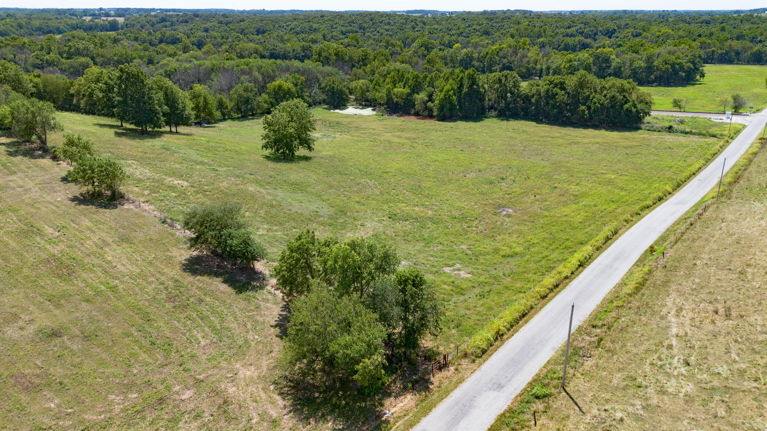 Photo 4 - Land for sale – Lot 1  Lawrence 1020   Pierce City, MO
