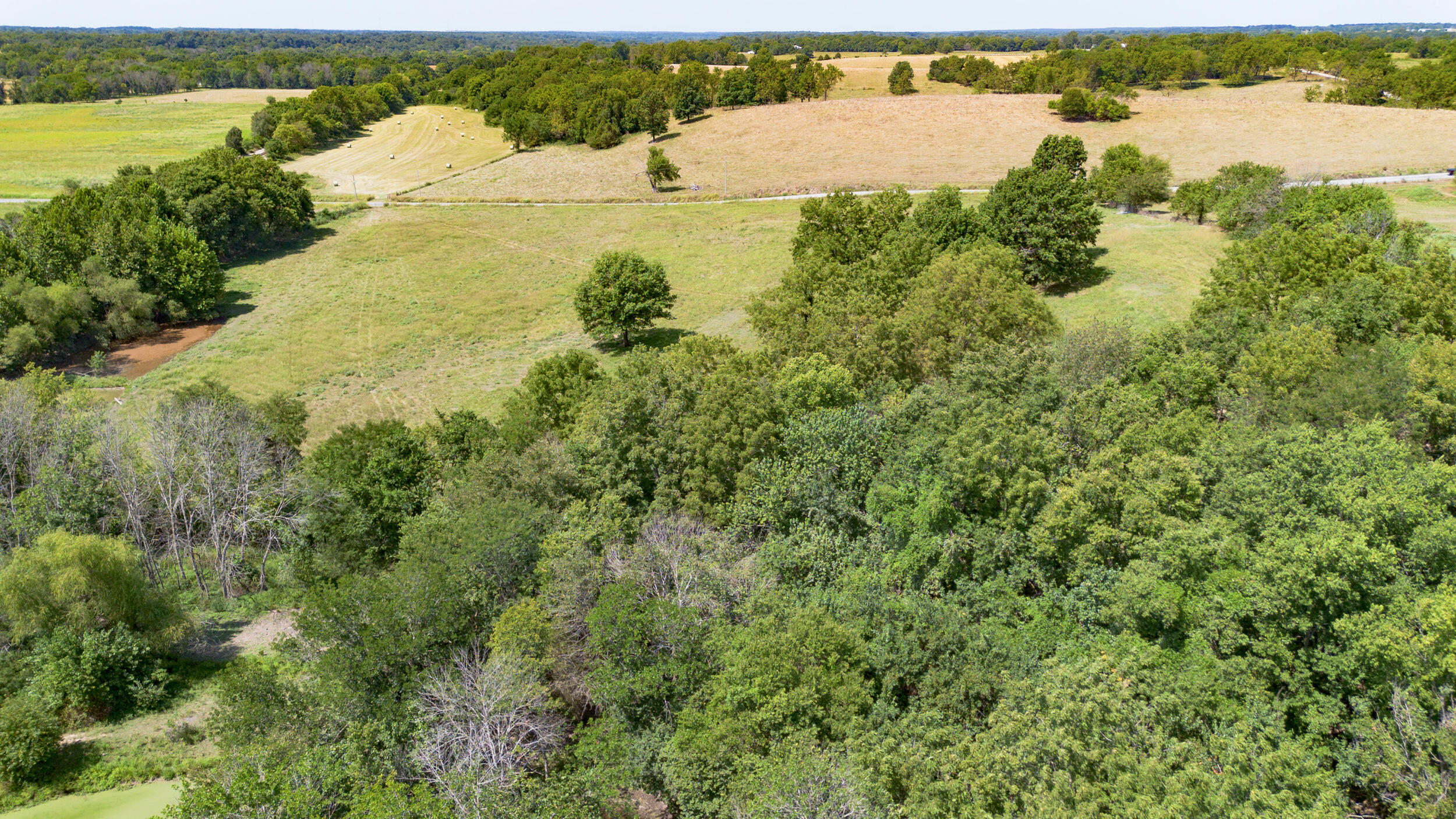 Photo 8 - Land for sale – Lot 1  Lawrence 1020   Pierce City, MO