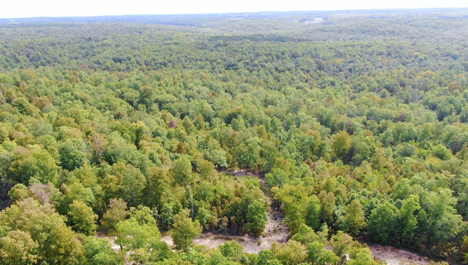 Photo 3 - Land for sale – 000  Db Tract 23   Pomona, MO