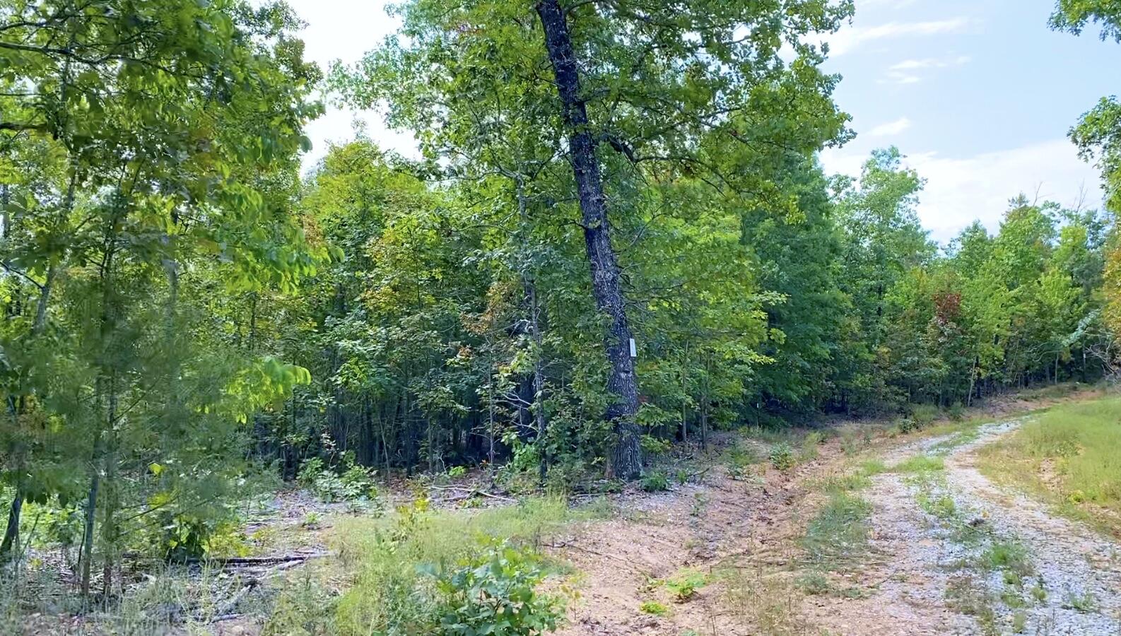 Photo 12 - Land for sale – 000  Db Tract 23   Pomona, MO