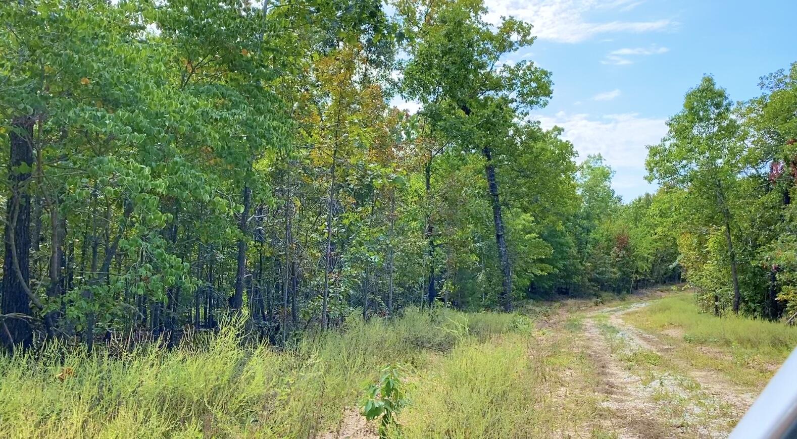 Photo 13 - Land for sale – 000  Db Tract 23   Pomona, MO