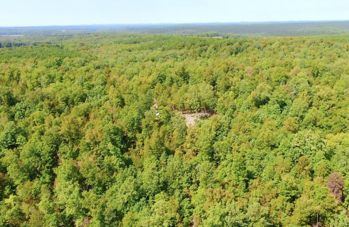 Photo 10 - Land for sale – 000  Db Tract 23   Pomona, MO