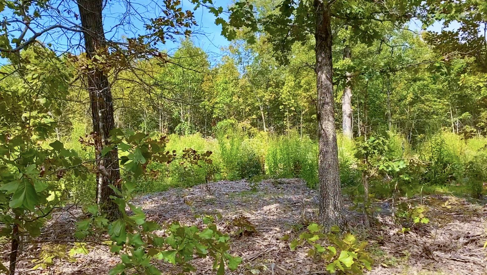 Photo 2 - Land for sale – 000  Db Tract 23   Pomona, MO