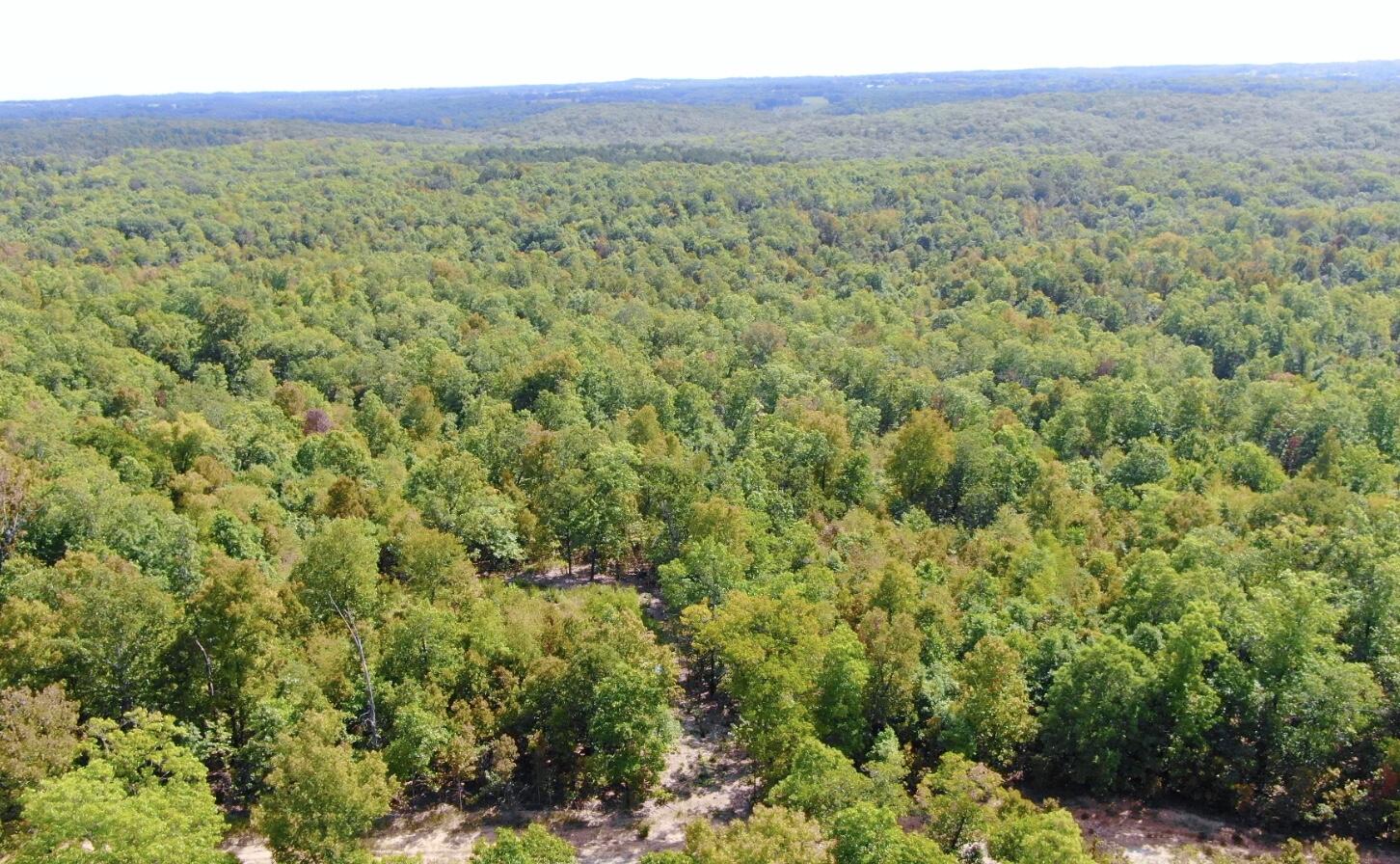 Photo 14 - Land for sale – 000  Db Tract 23   Pomona, MO